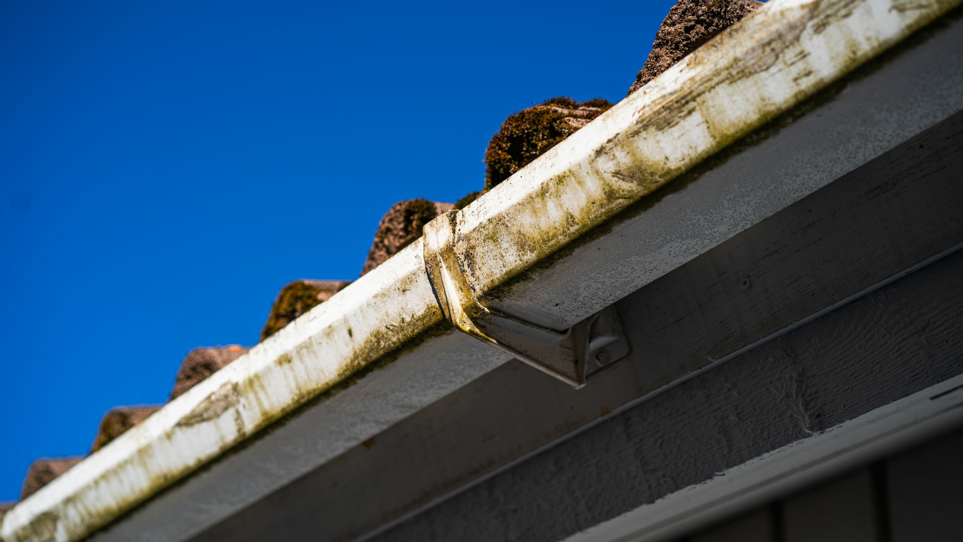 Guttering & Fascias work by AS Roofing - image 1
