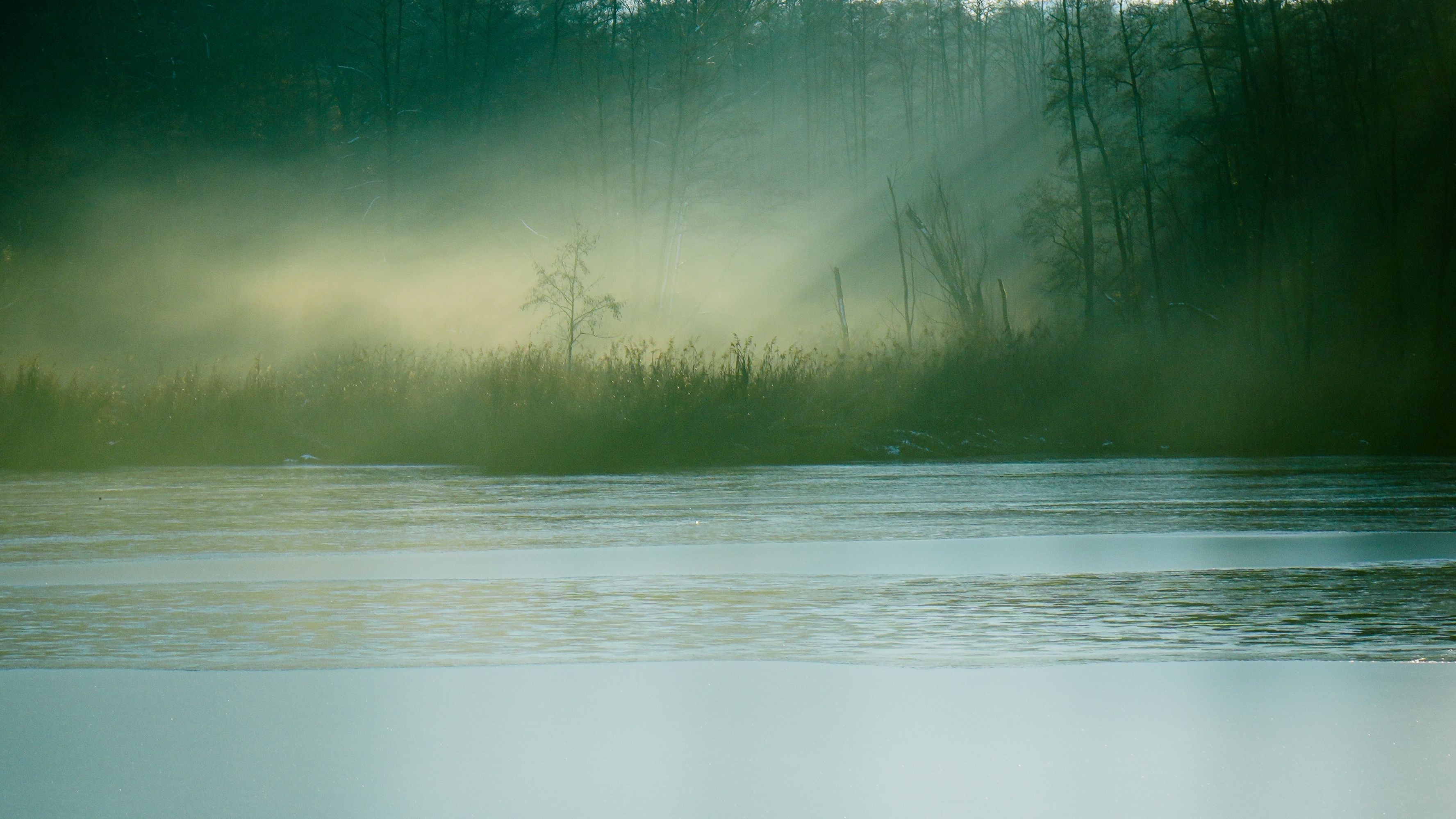Peaceful nature scene