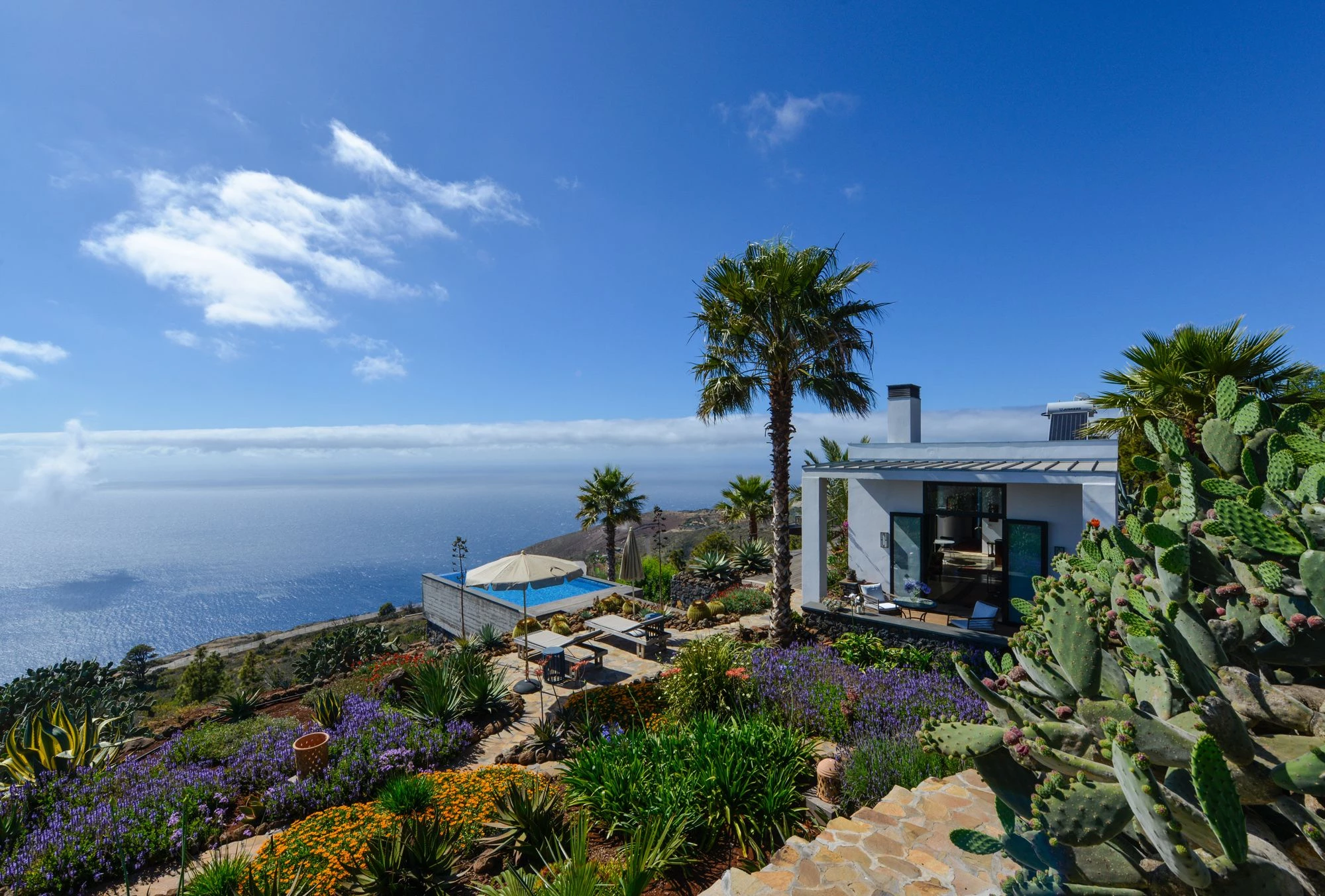 Terraced volcanic garden with agave and sea views
