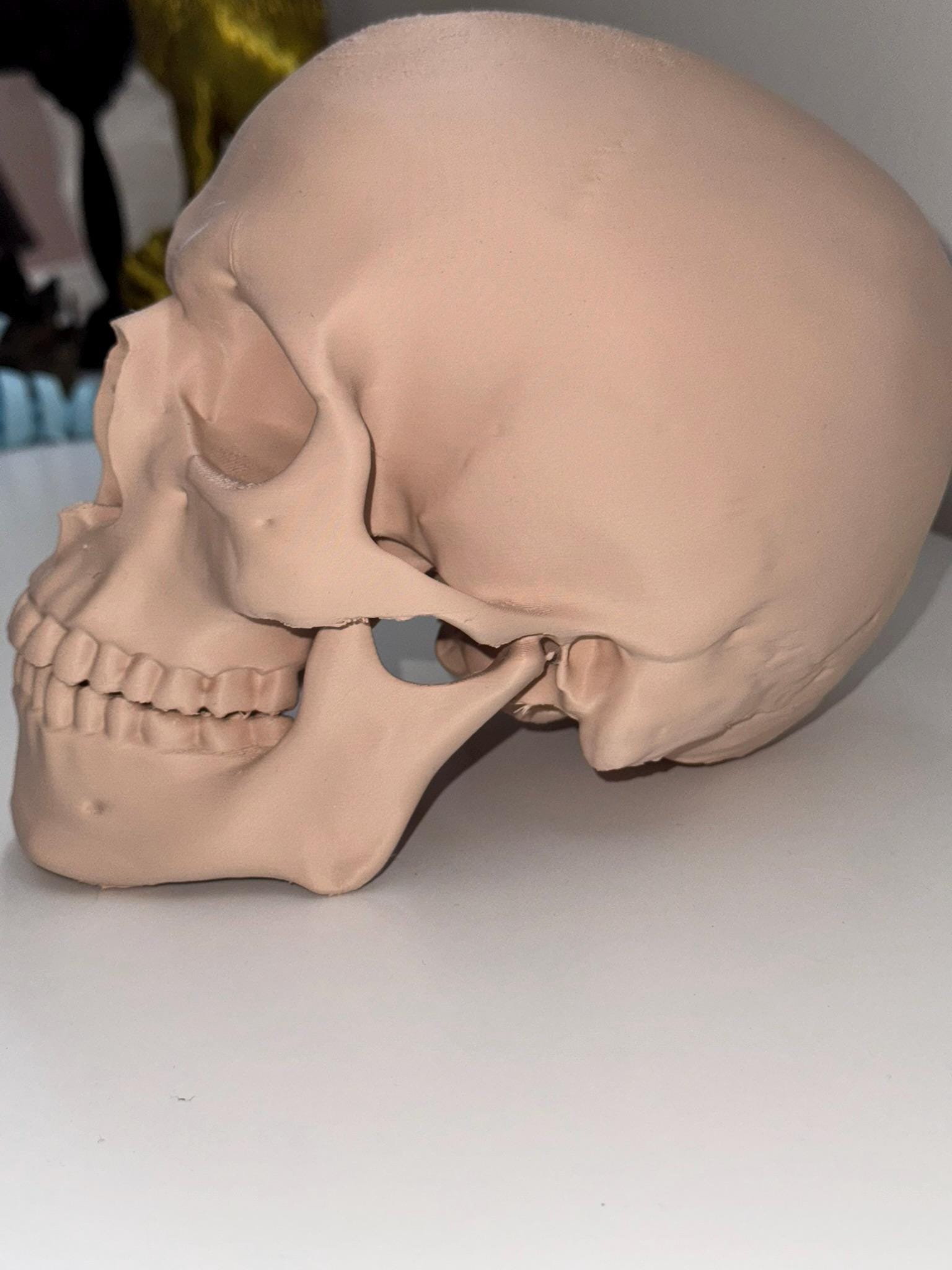 3D Printed Models