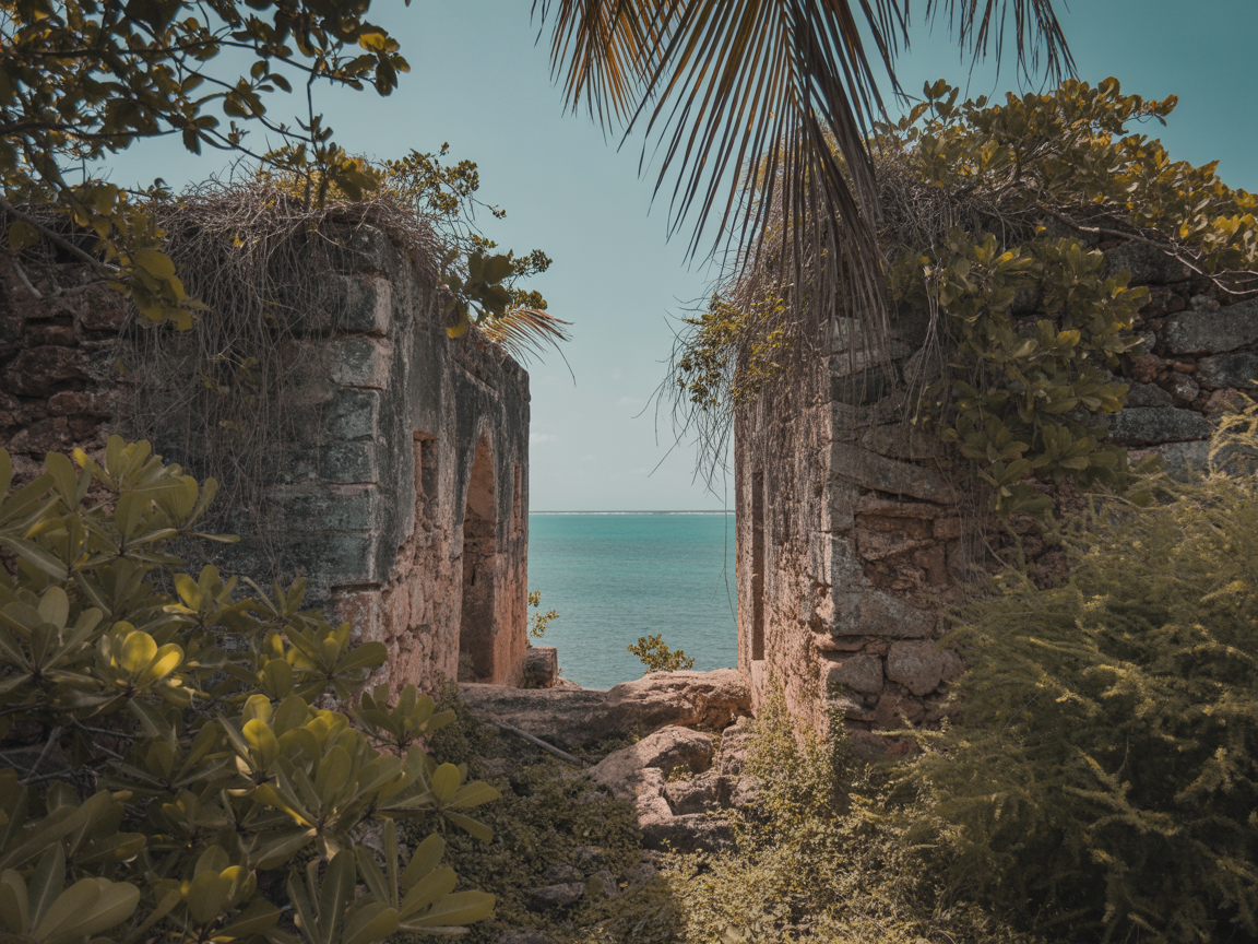 Expedição do Norte
