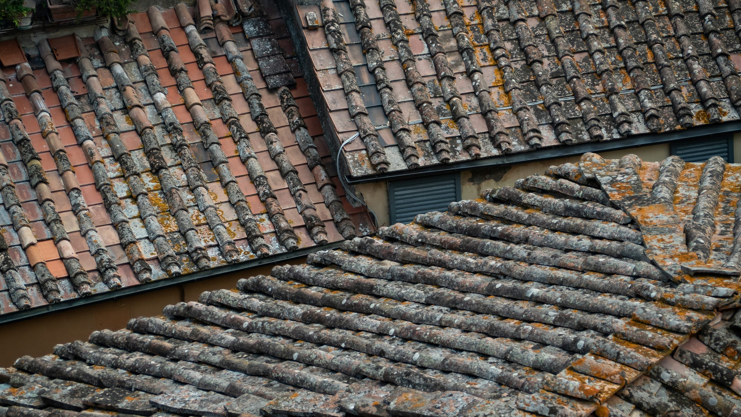 Weathered roof tiles with moss and lichen