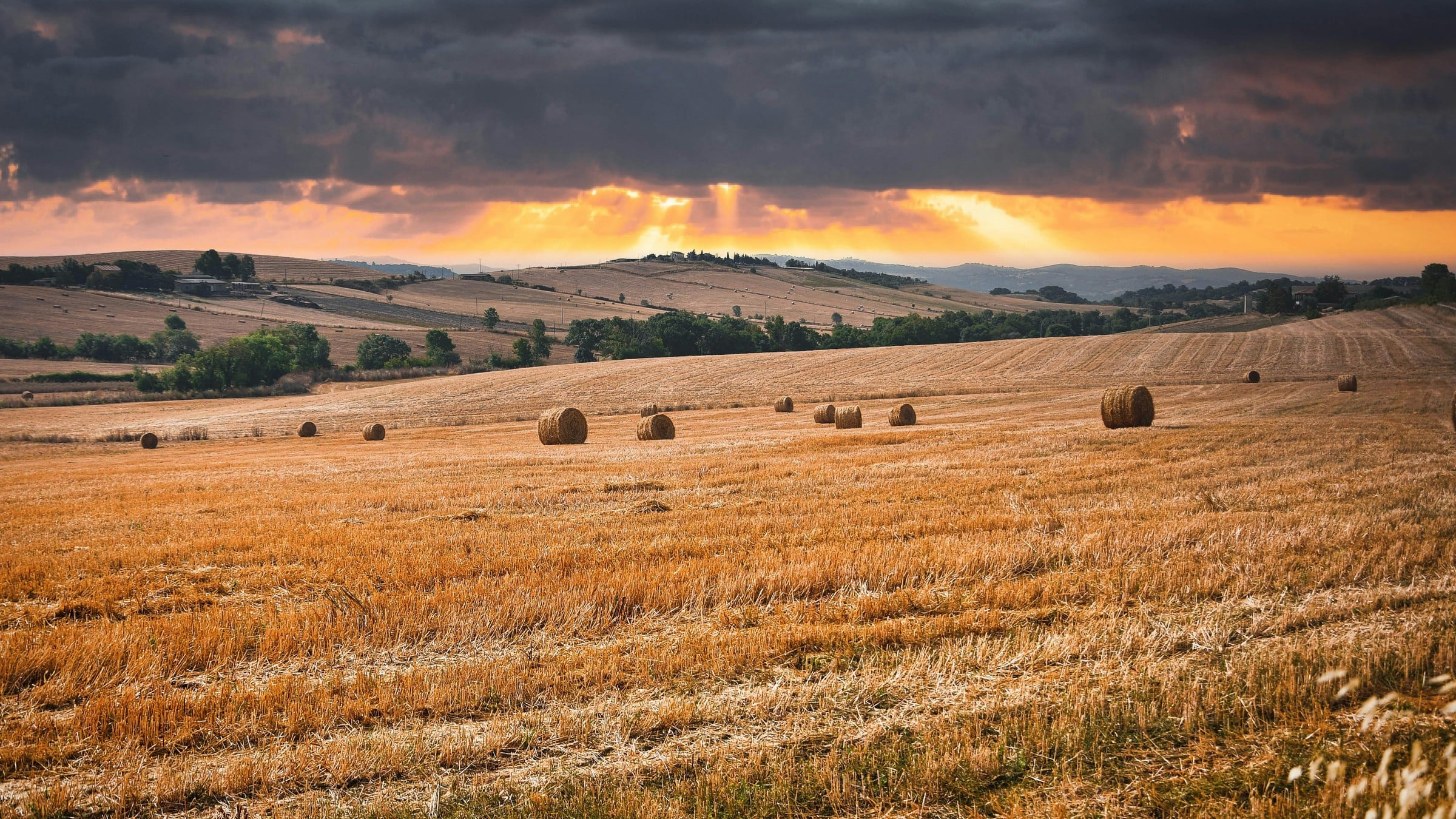 Applicator spraying herbicides in an agricultural field at sunset