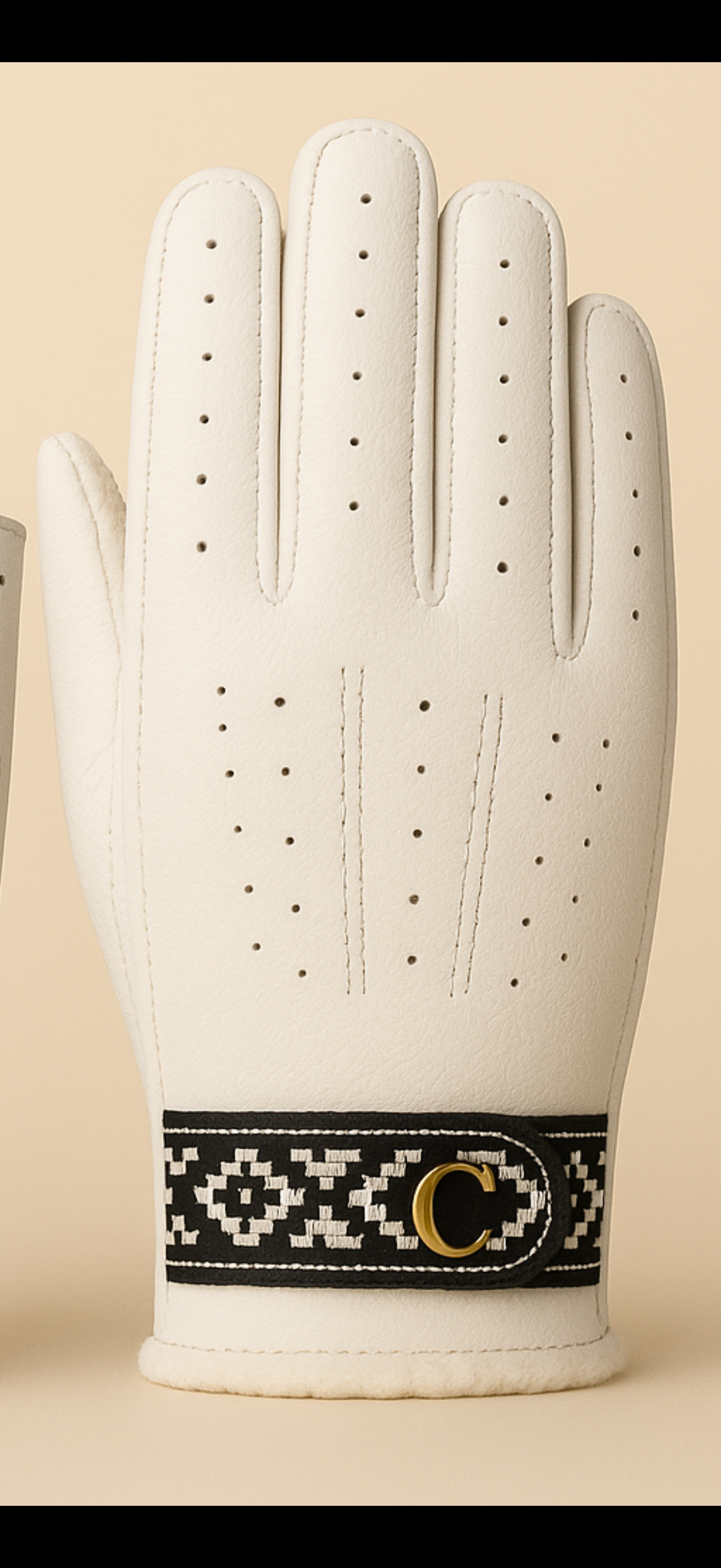 Recoleta Standard Glove