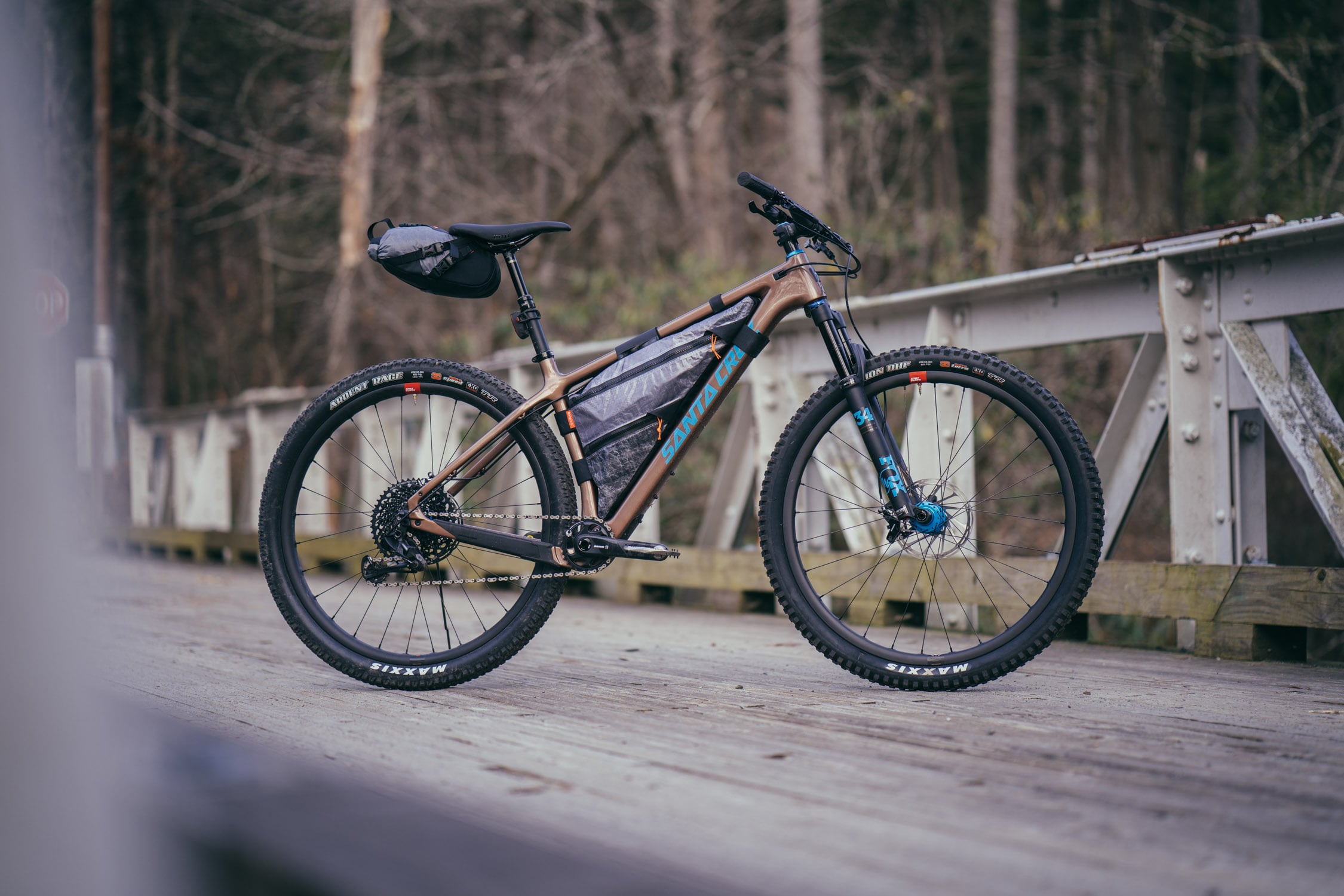 Santa Cruz Chameleon 3