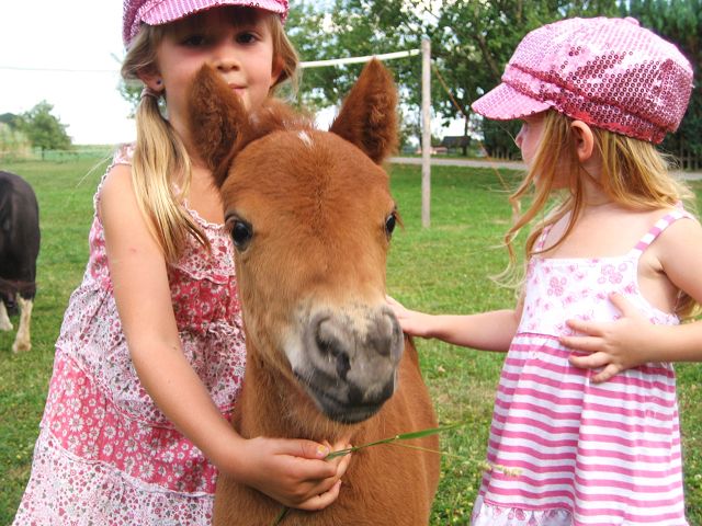 Ponyreiten auf dem Reiherhof