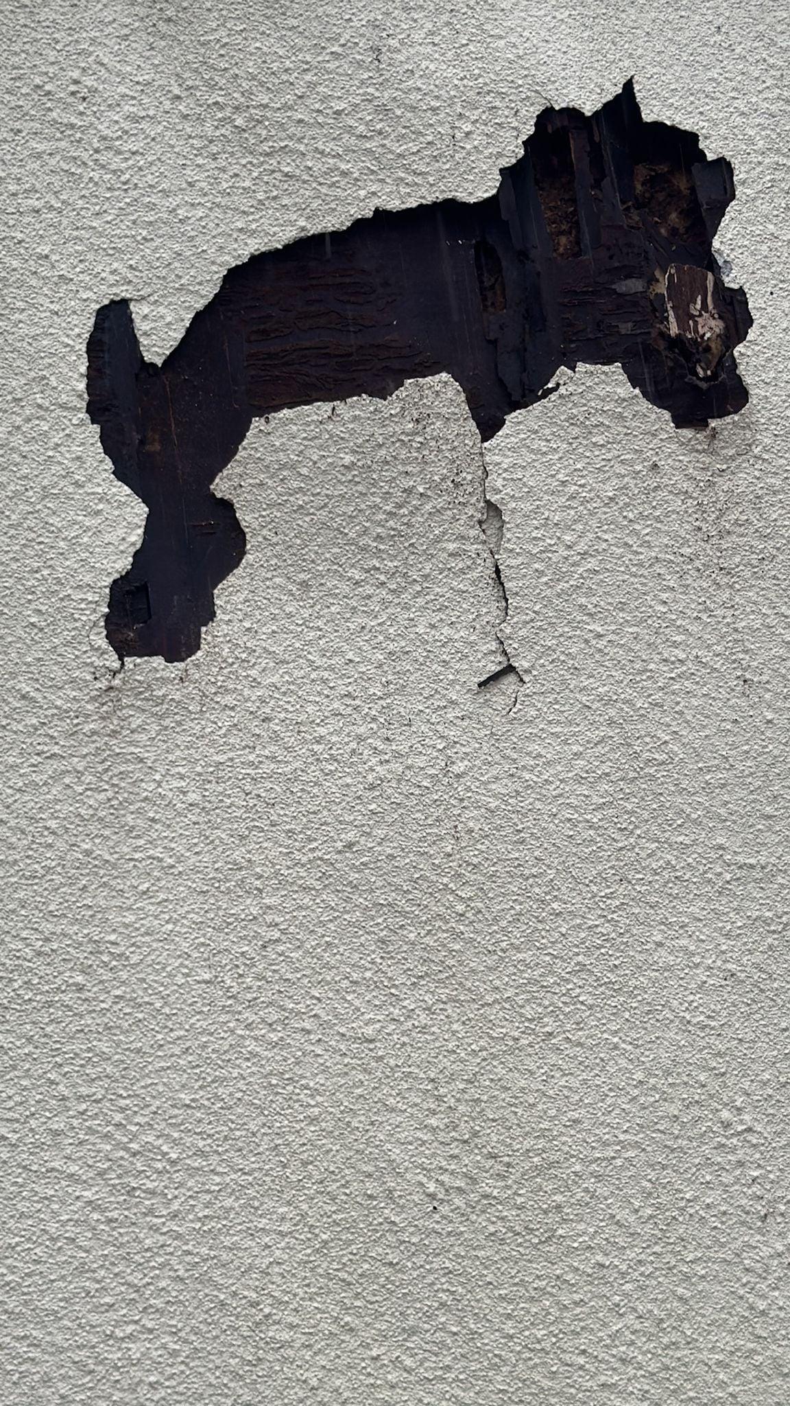 Close-up of damaged render and wall requiring structural repair
