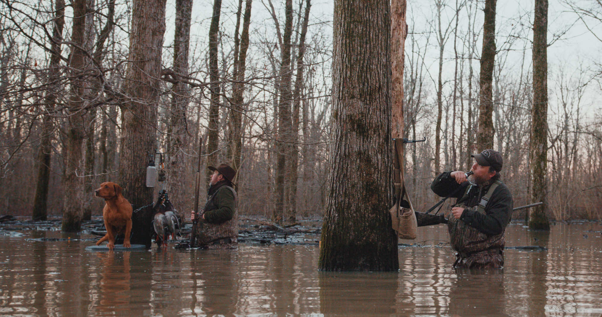 Arkansas Duck Hunt