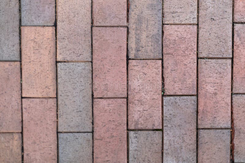 Brick Paver Installation in Tampa Bay FL