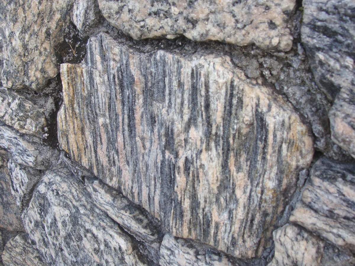 Polished banded metamorphic gneiss rock