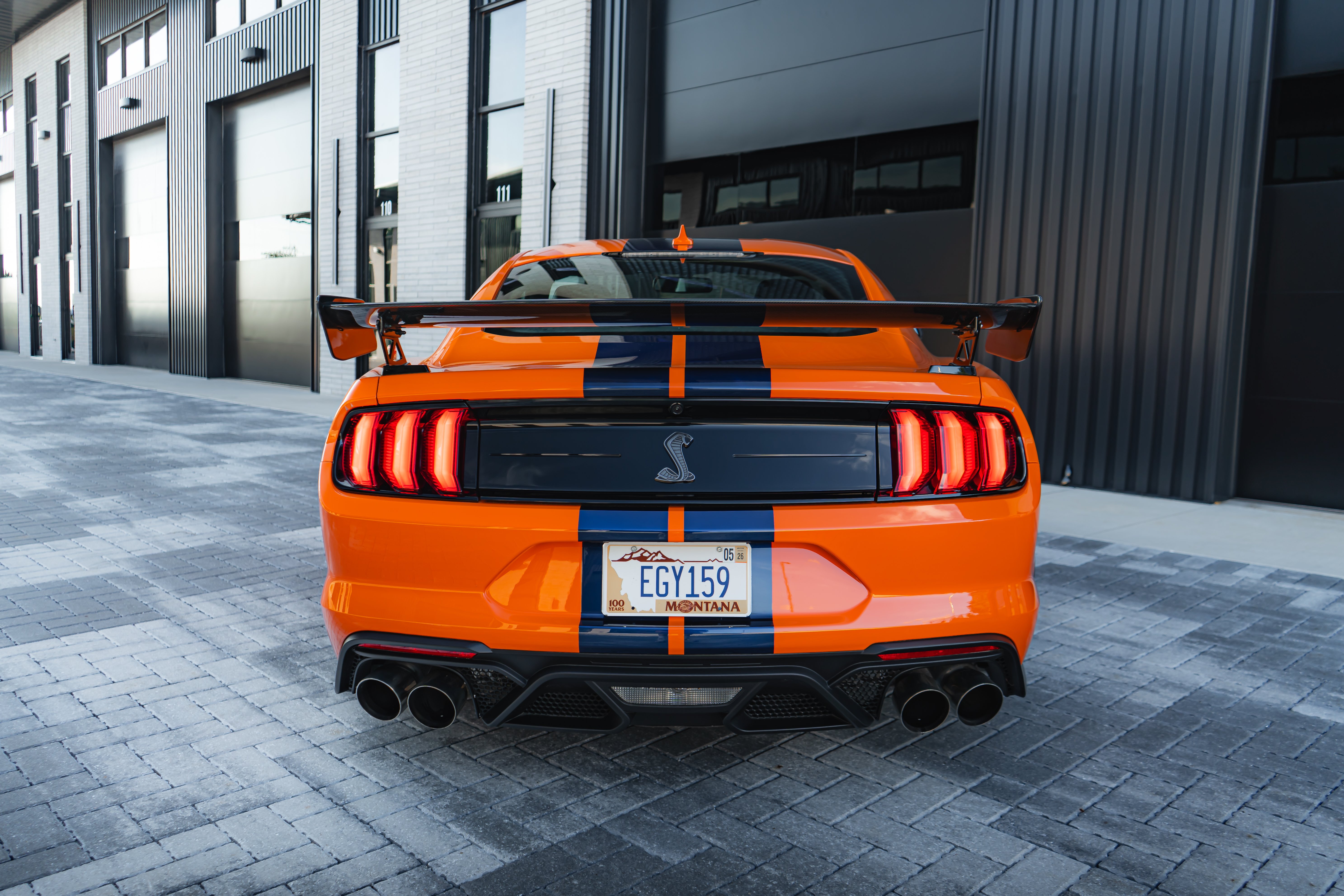 2020 Shelby GT500 rear view with Cobra badge and blue racing stripes