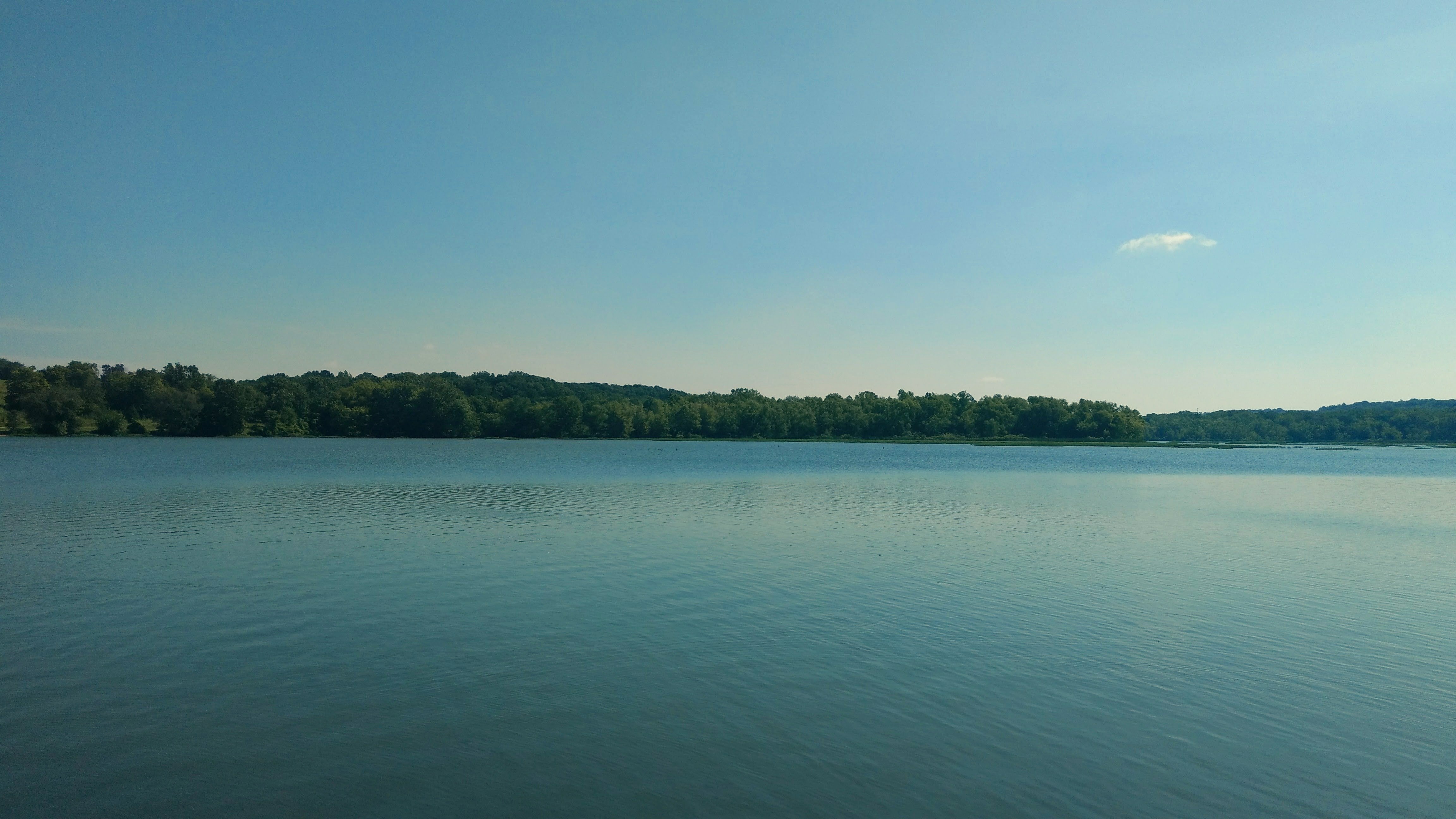 Lake Springfield