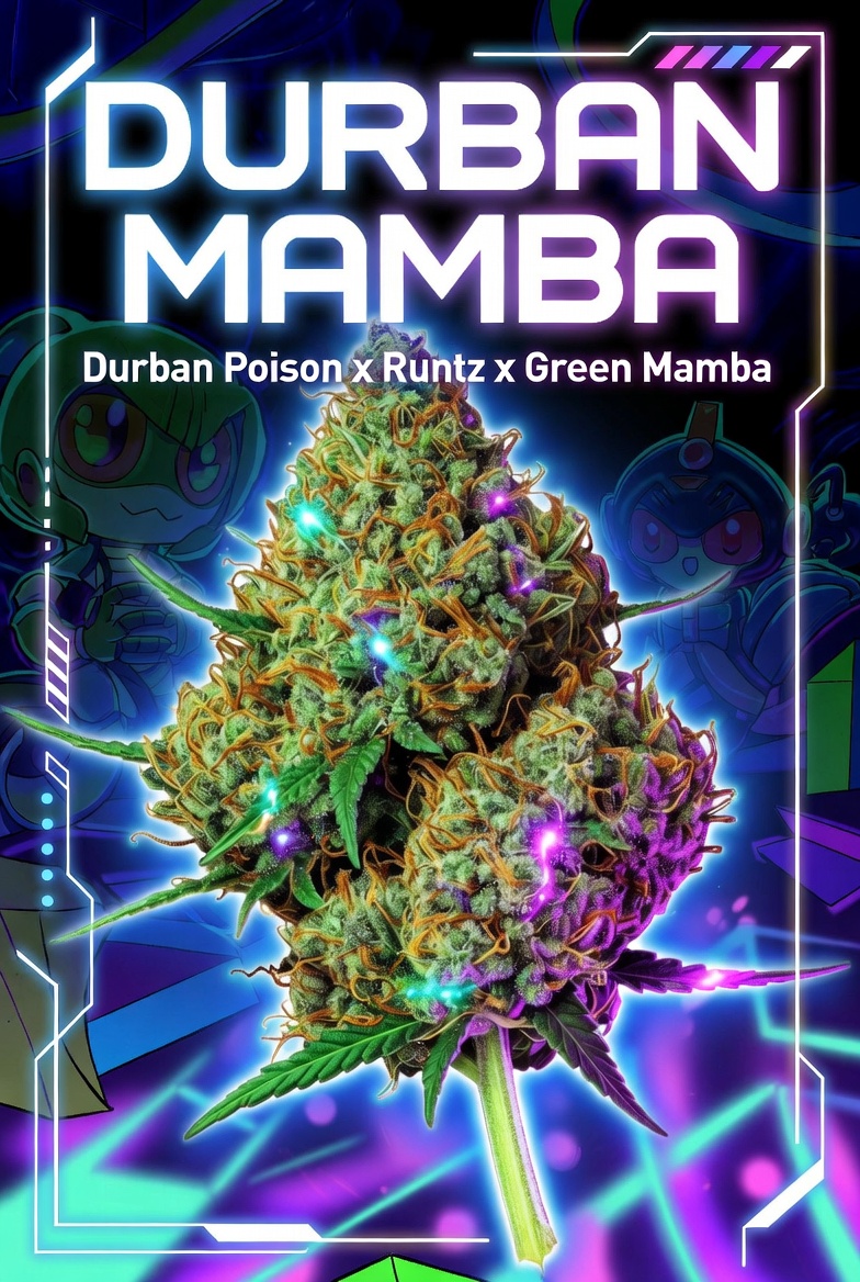 Durban Mamba
