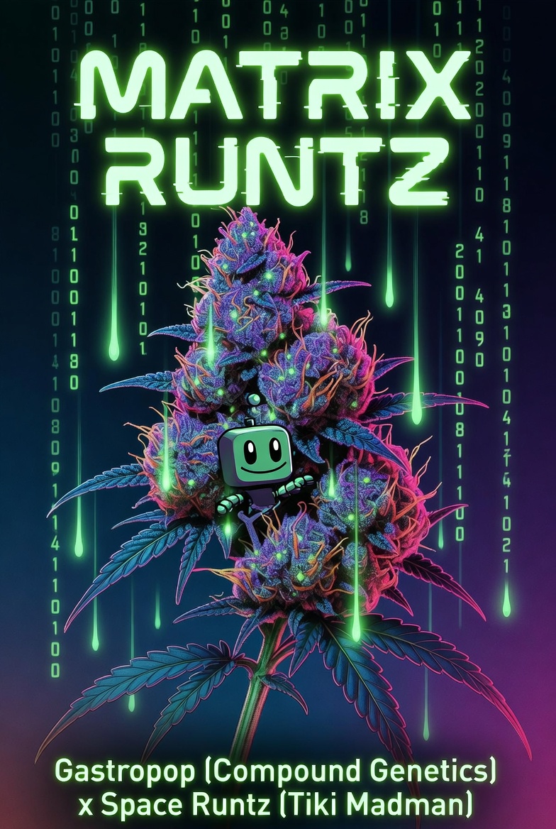 Matrix Runtz