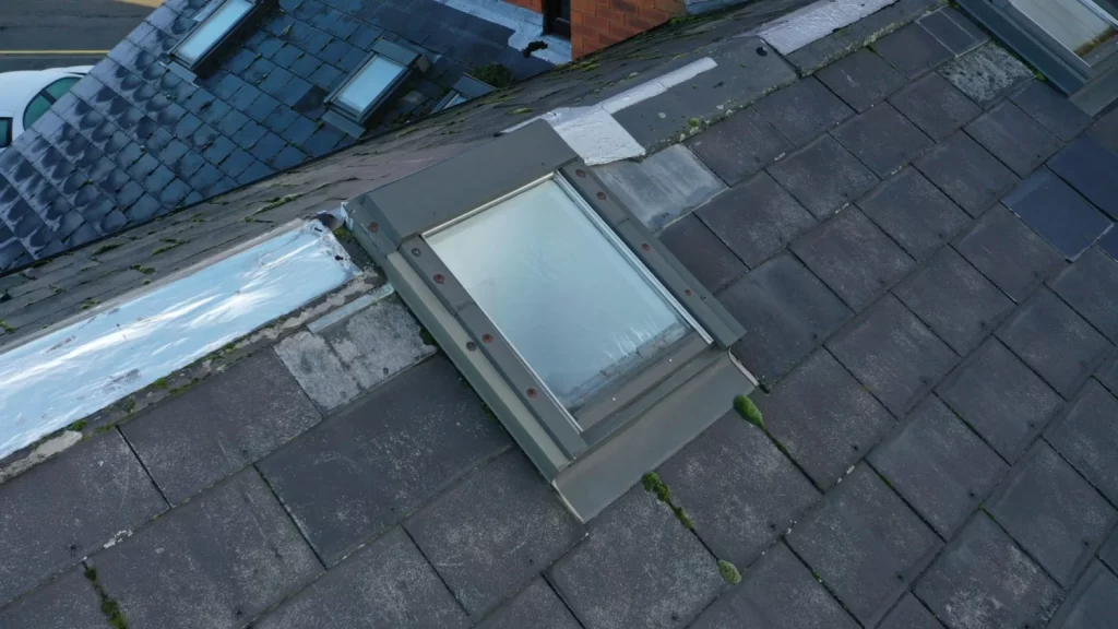 Professional Roof Inspection