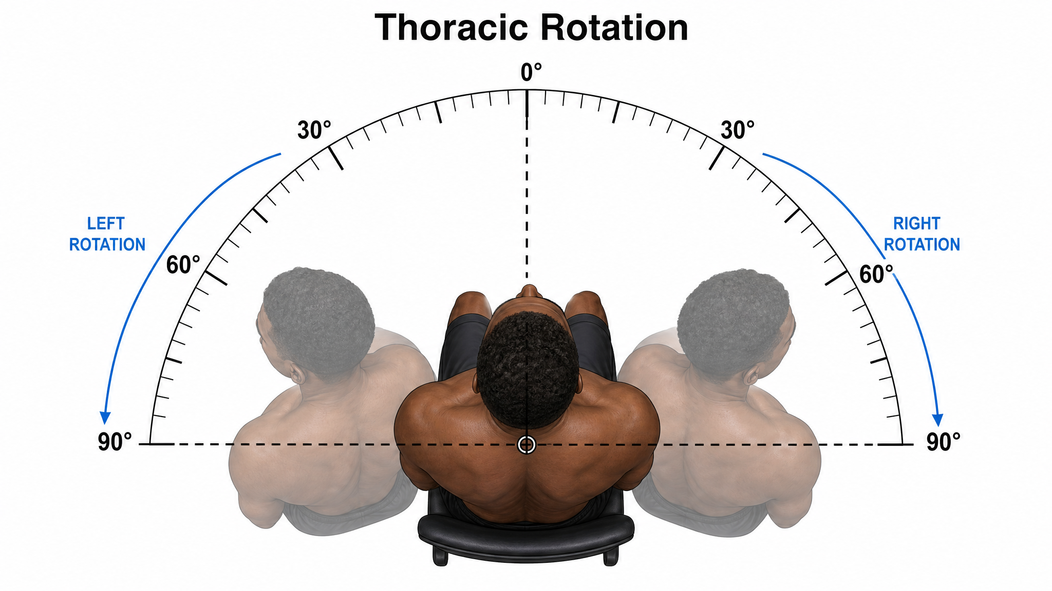 Labeled teaching diagram on a white background, top-down view, showing thoracolumbar rotation measured with the pelvis stabilised, 0 to 30 degrees each side