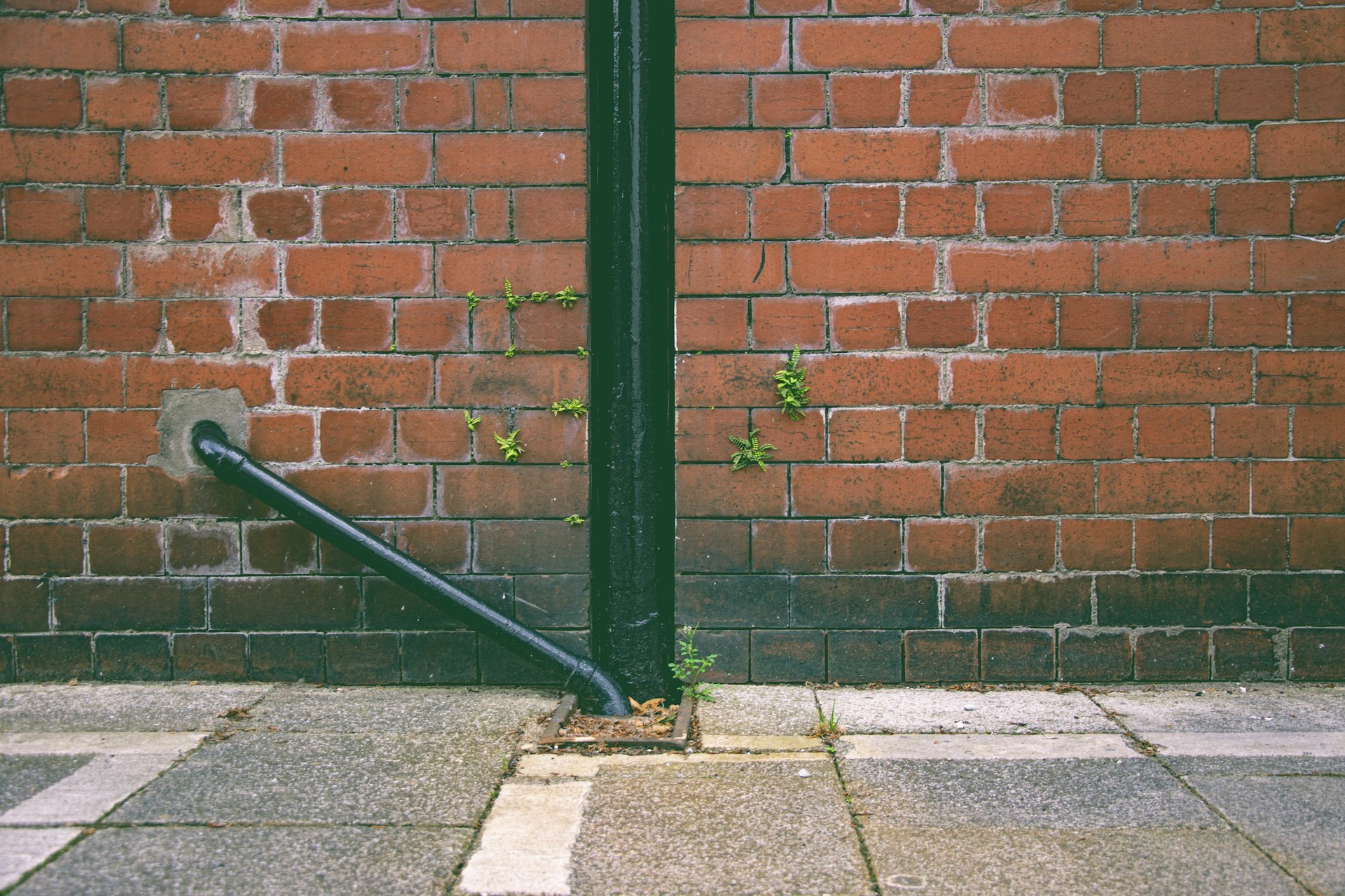 Green downpipe on a brick wall