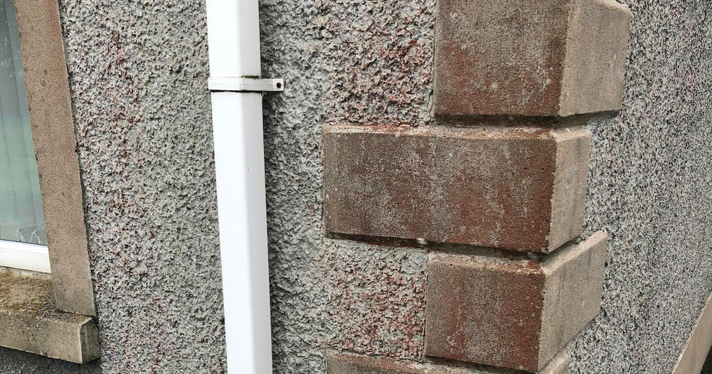 Professional softwashing service