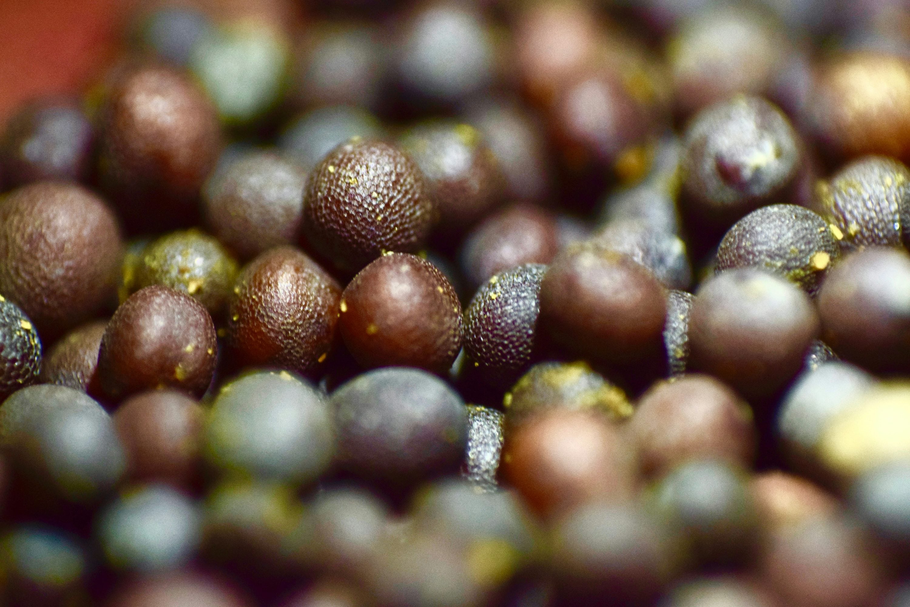 Black Lentils — ingredient guide