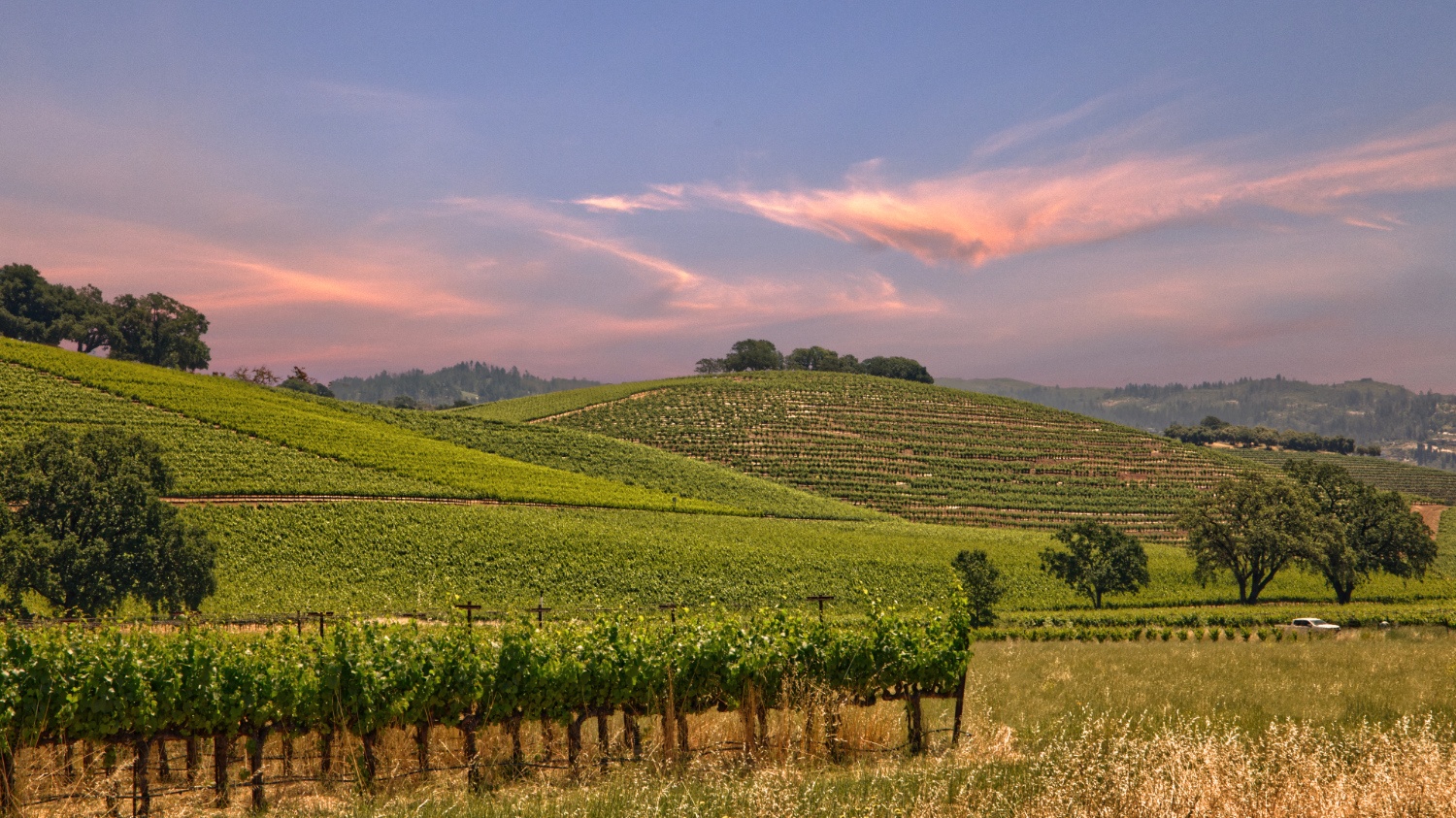 Sonoma Valley sunset