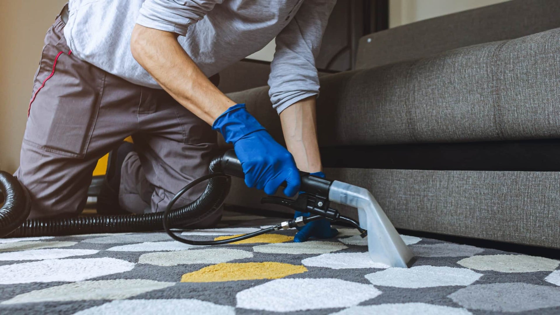 Carpet Cleaning