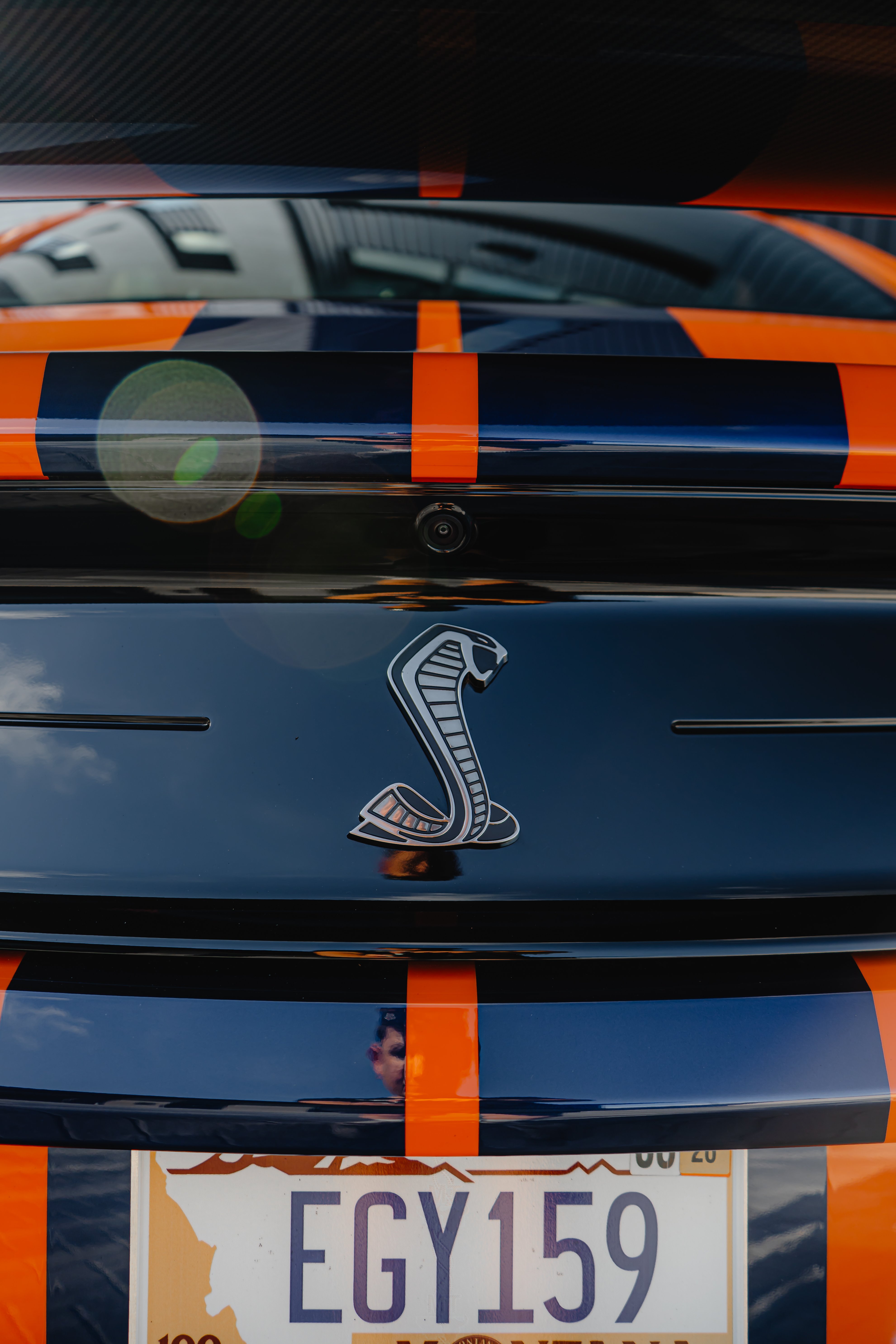 Shelby Cobra badge detail with blue racing stripes
