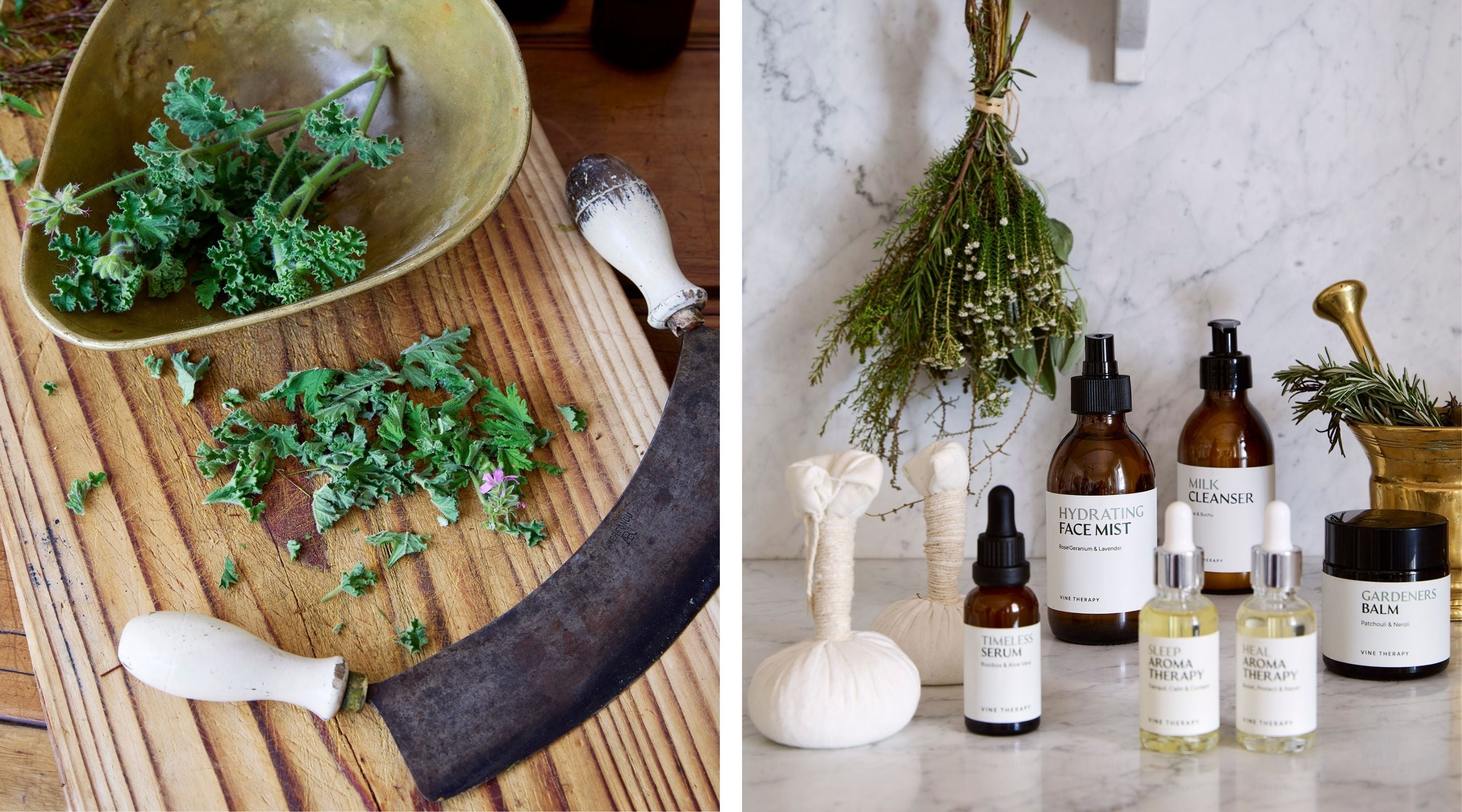 African Traditional Medicine