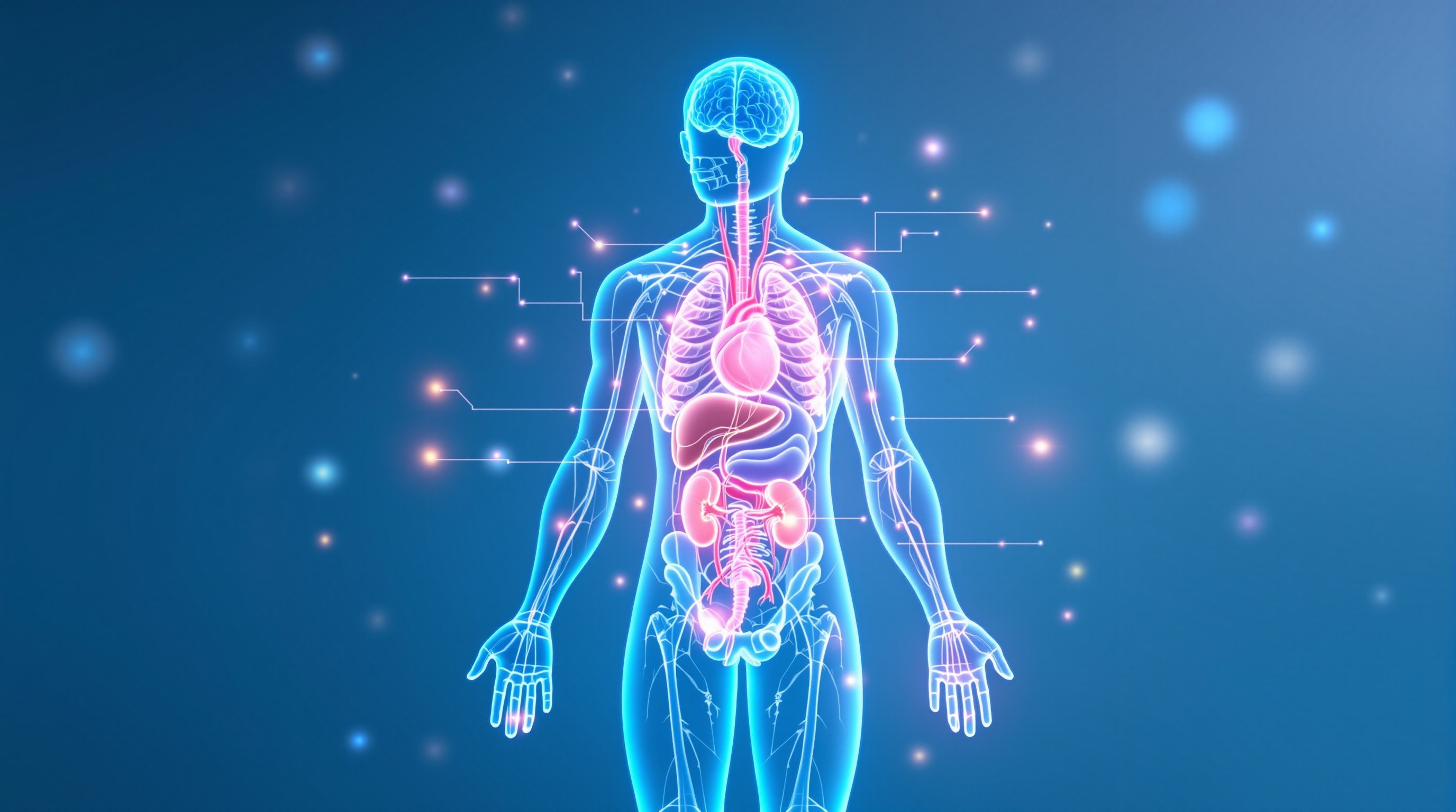 Orchestra of the Body - Holistic Internal Medicine