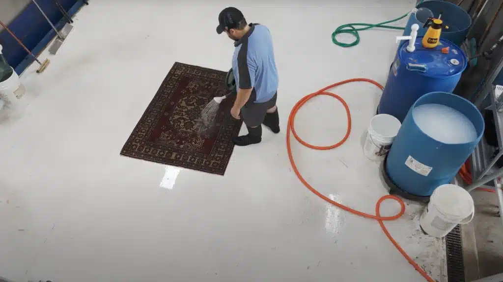 Carpet & Upholstery