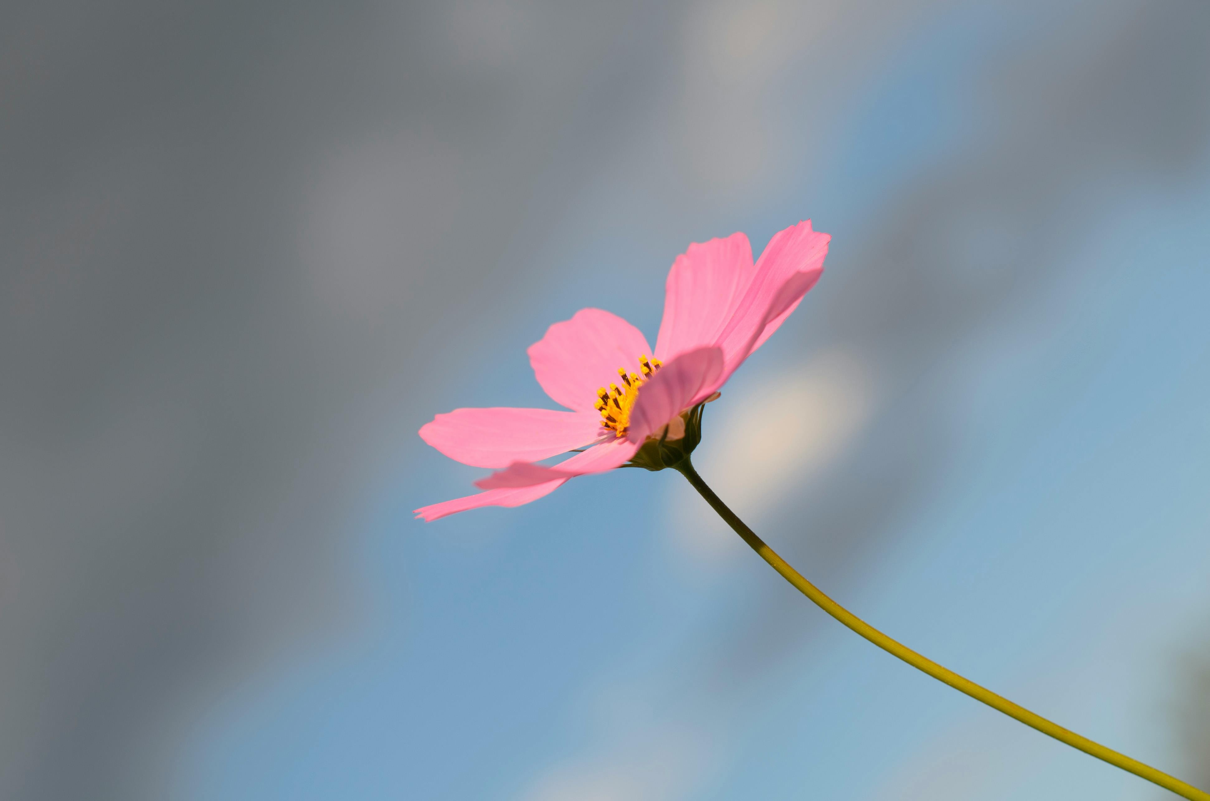 Natureza serena e transformação interior