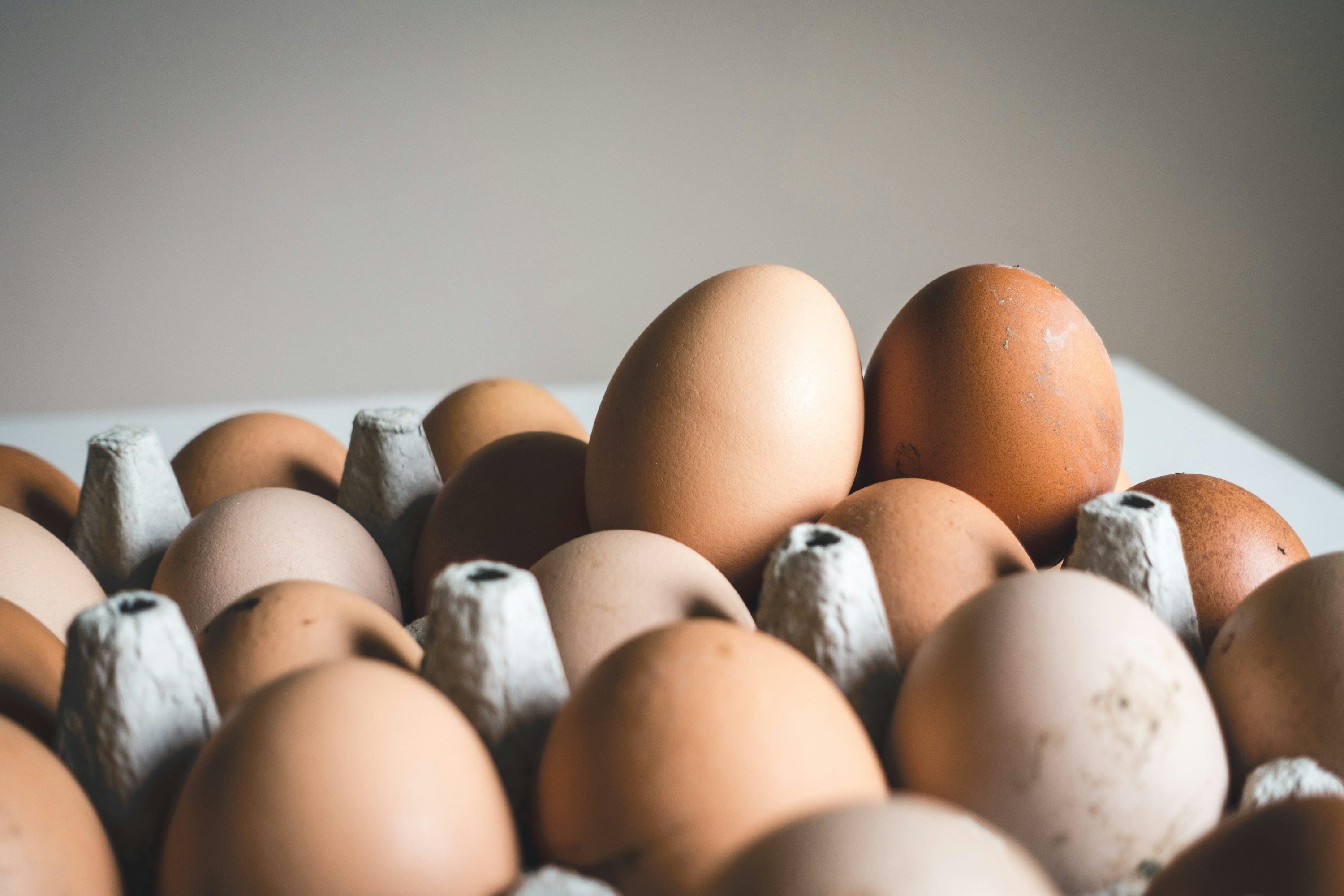 Eggs — ingredient guide