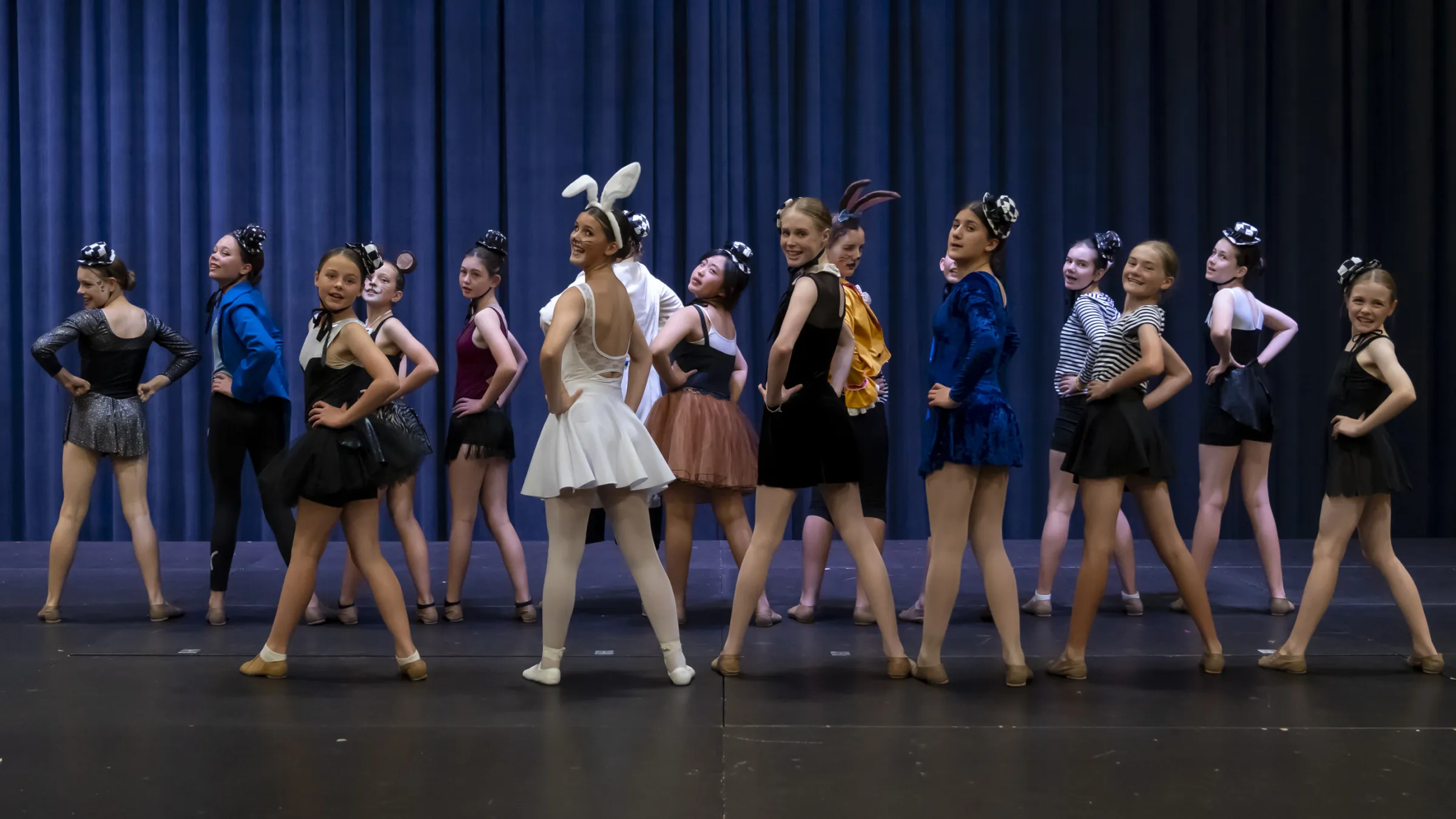 Papilion Palaver Series