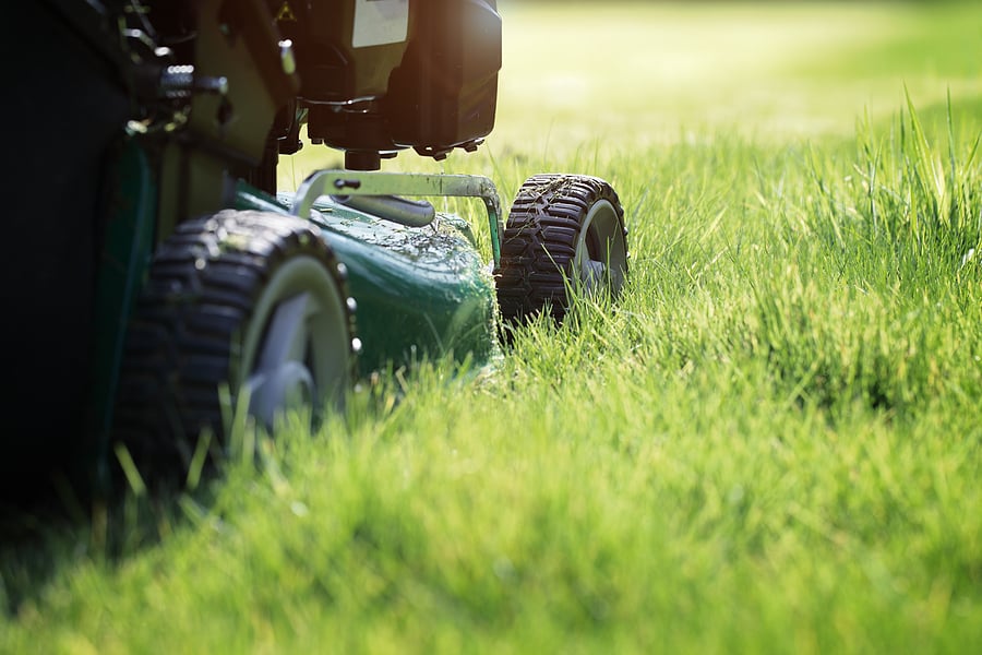 Basic Lawn Mowing