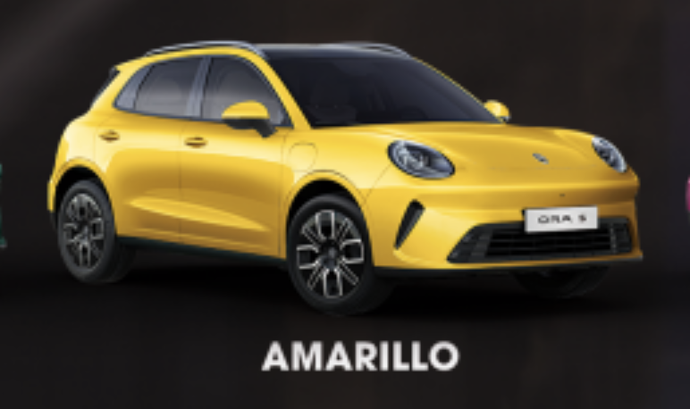 GWM ORA 5 Amarillo - Separación interna
