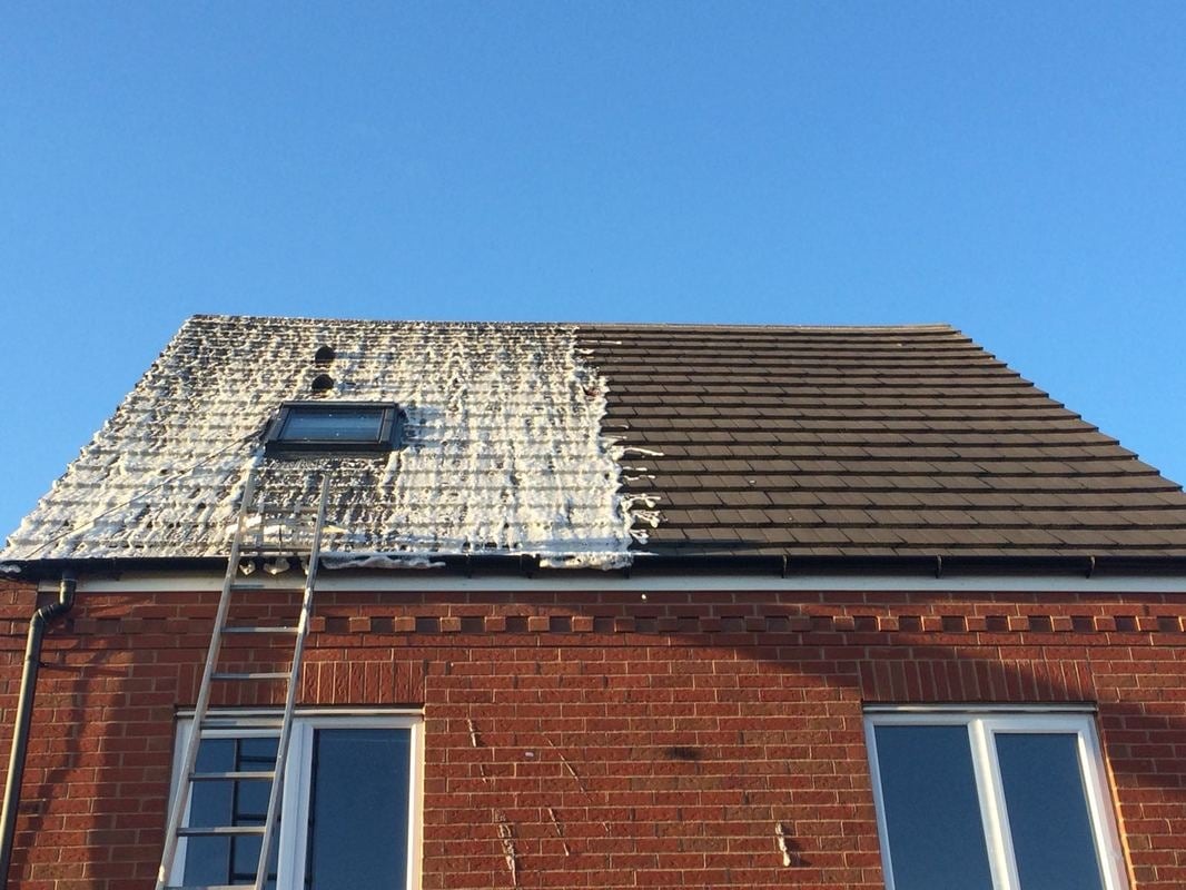 Roof moss cleaning maintenance
