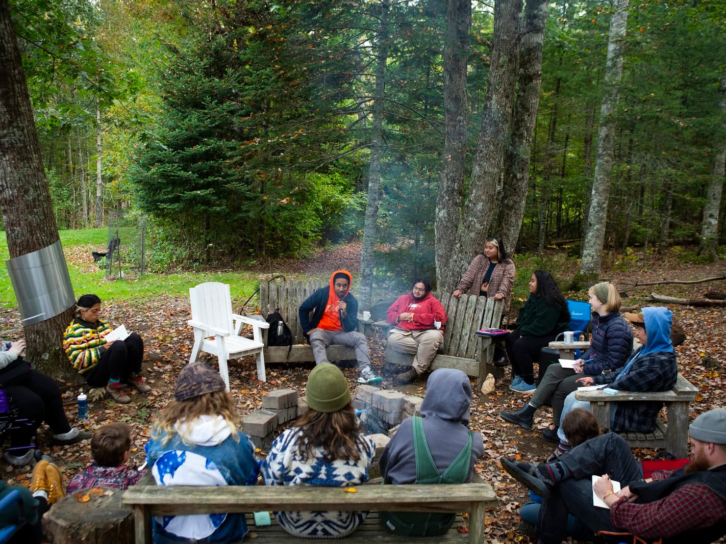 Educación y formación ambiental