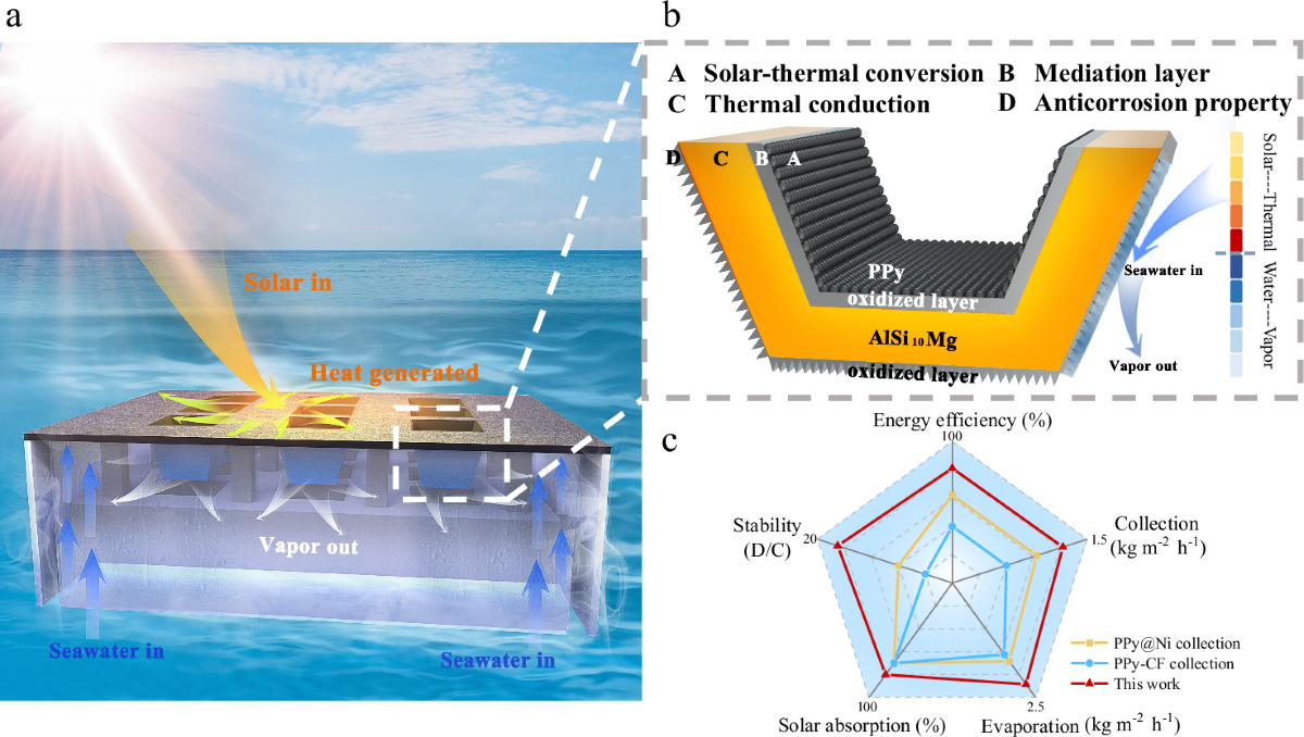Solar-driven water evaporation and desalination system using concentrated solar energy