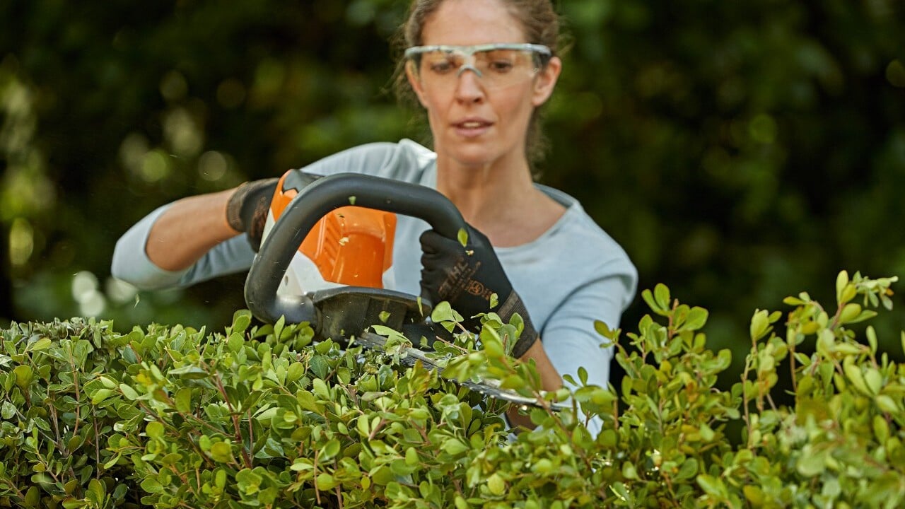 Hedge trimming maintenance