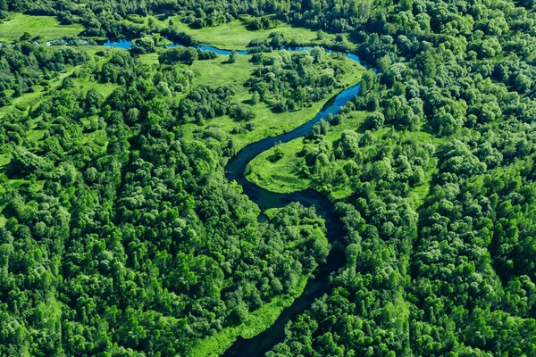 Winding river through dense forest canopy