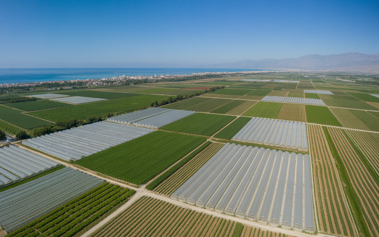 Antalya Agricultural Fields