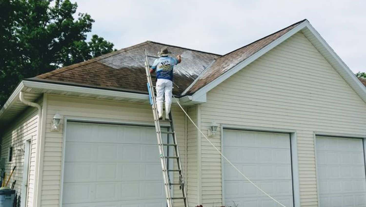 Professional roof cleaning