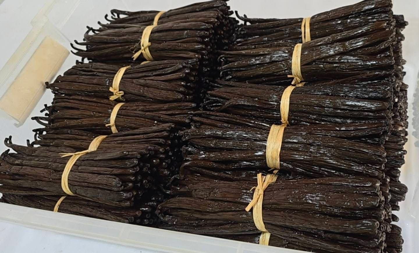 Vanille Bourbon de Madagascar – Grade A (Qualité Gourmet) 18 CM et Plus