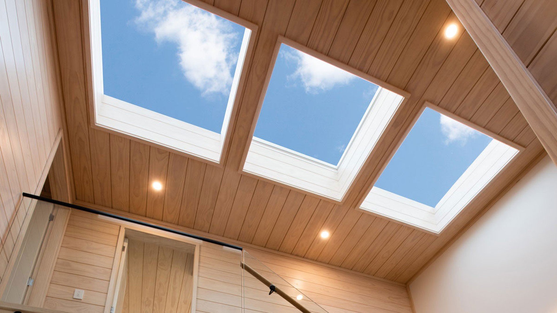Pitched Roof with Skylights
