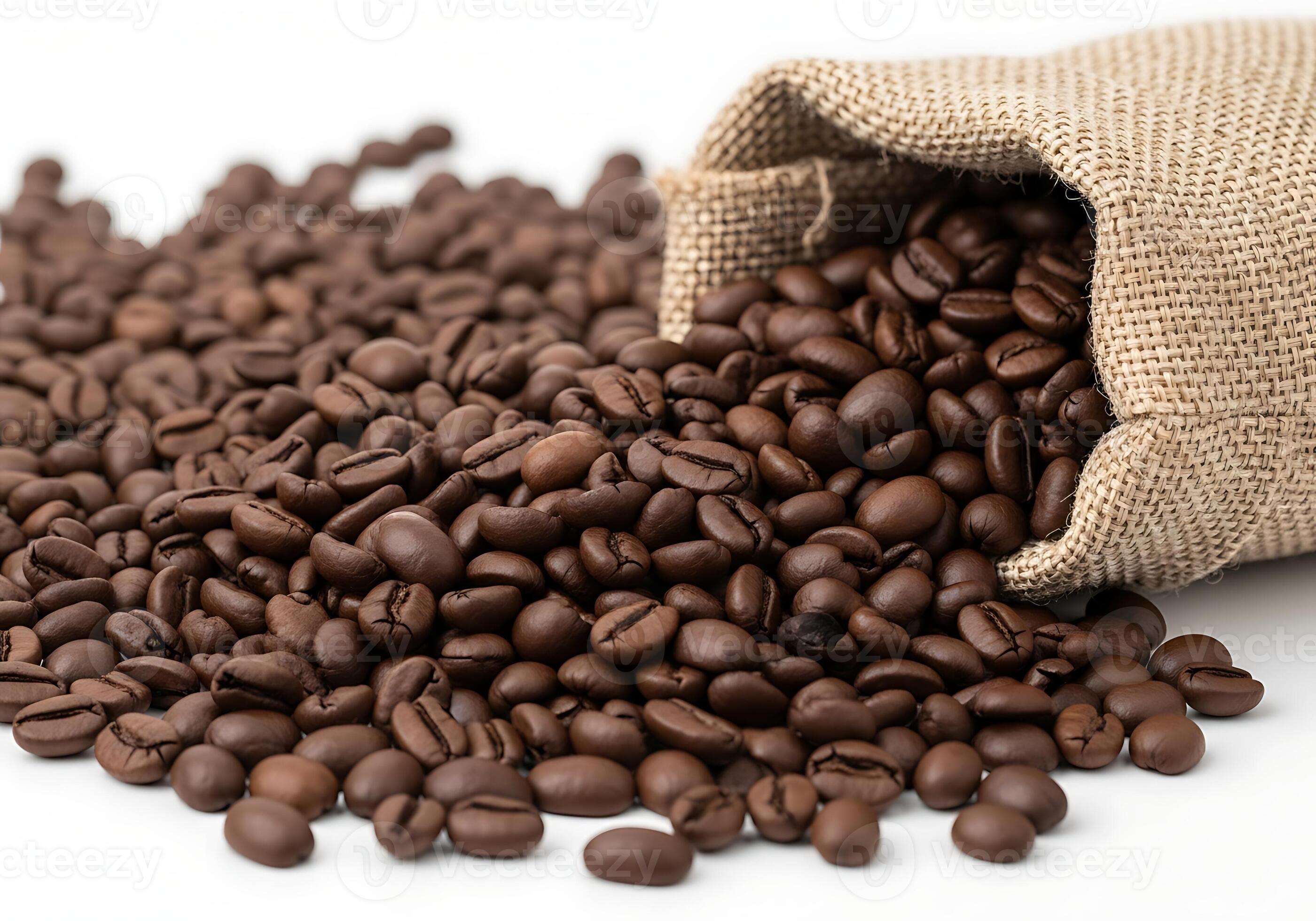 Fresh roasted coffee beans