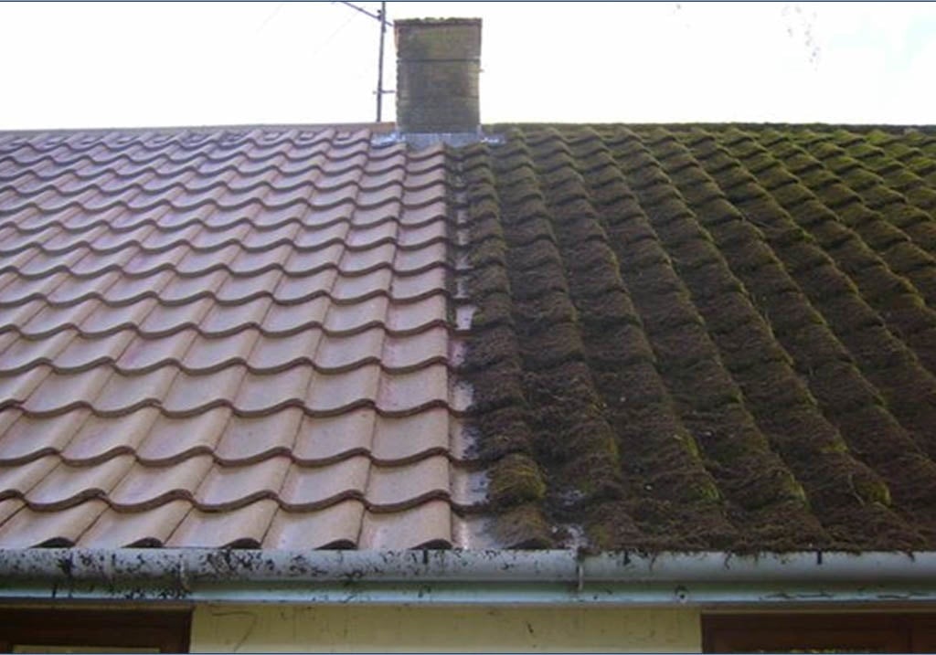 Lichen removal from roof tiles