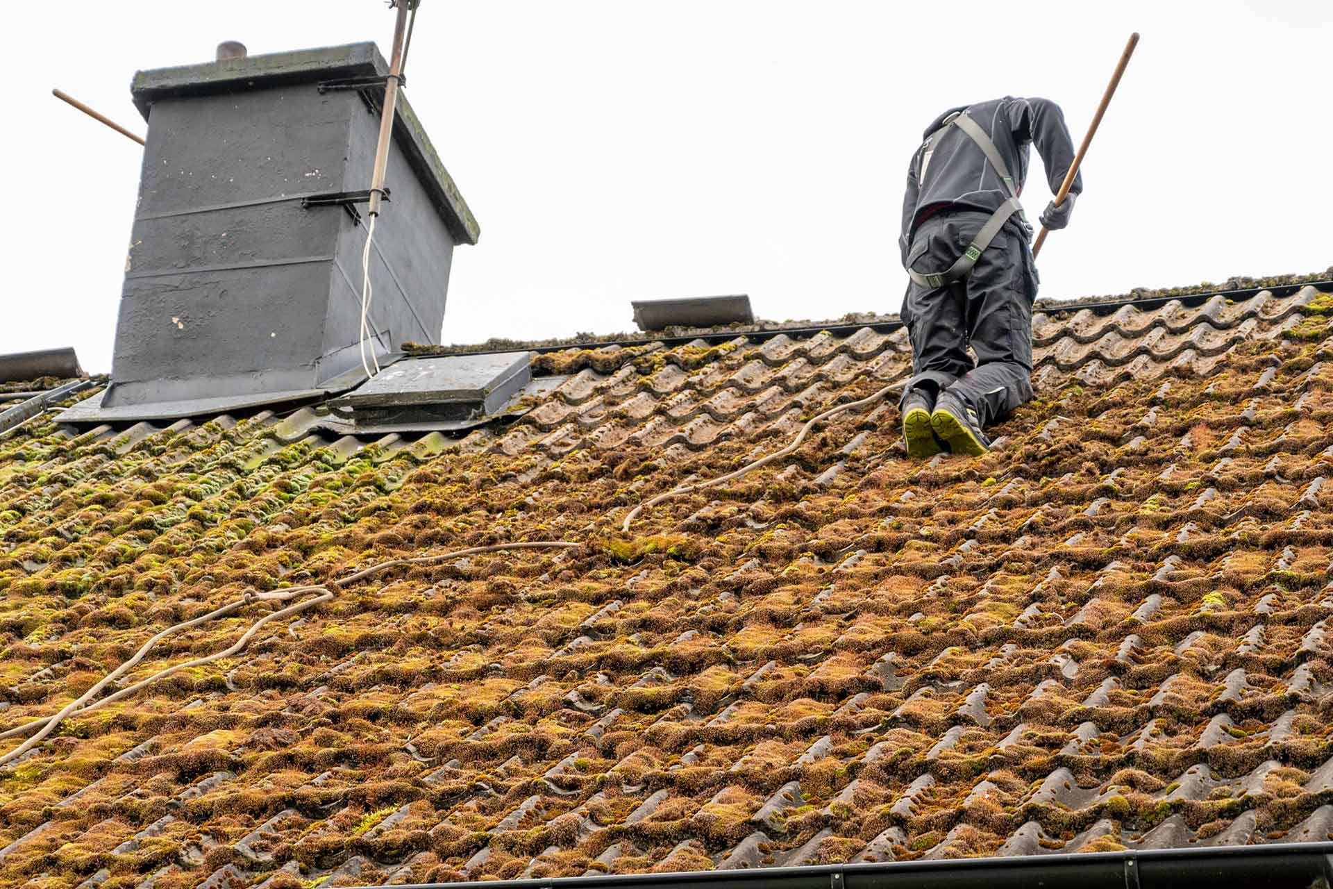 Professional roof cleaning in progress on UK property