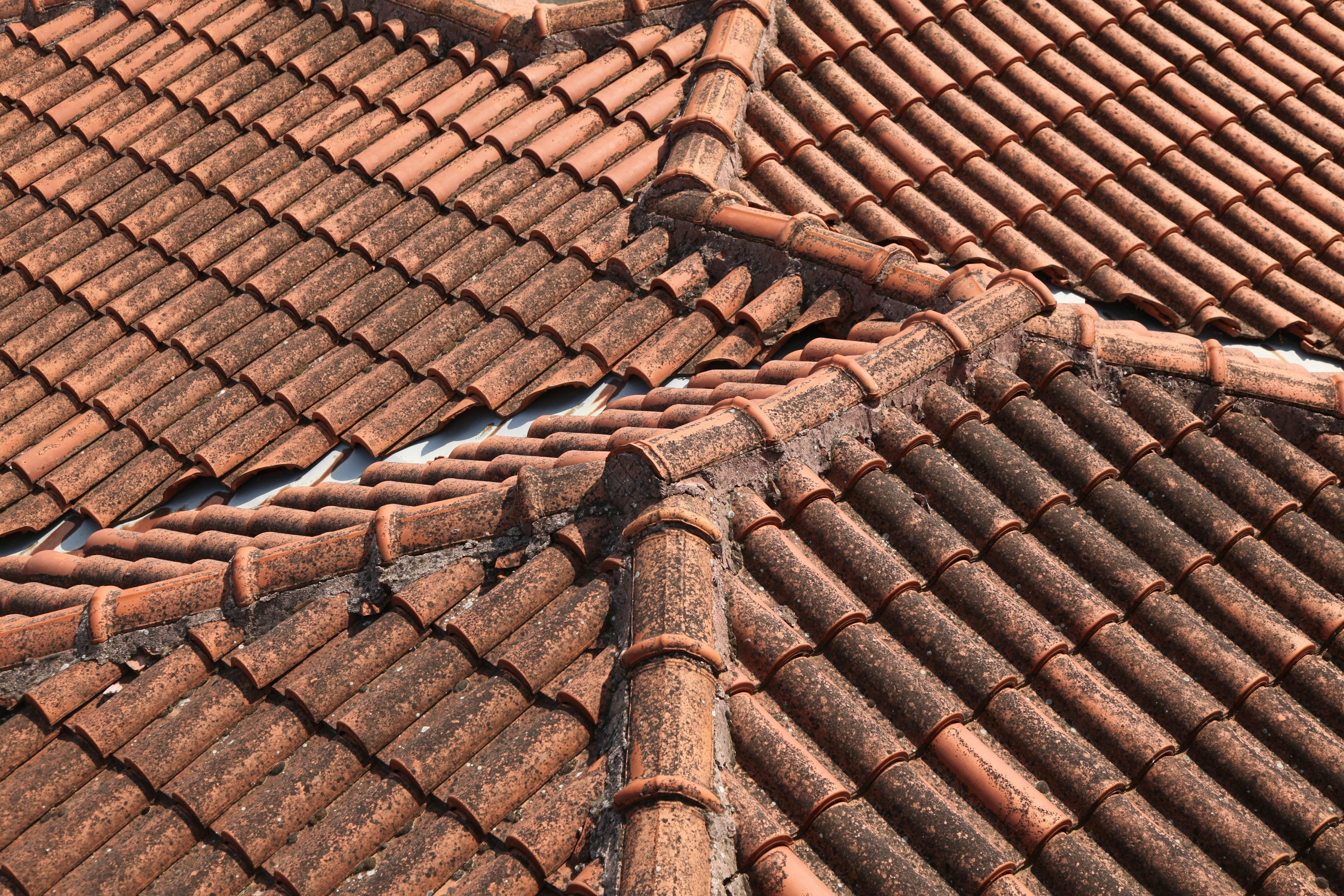 Ridge tiles on roof