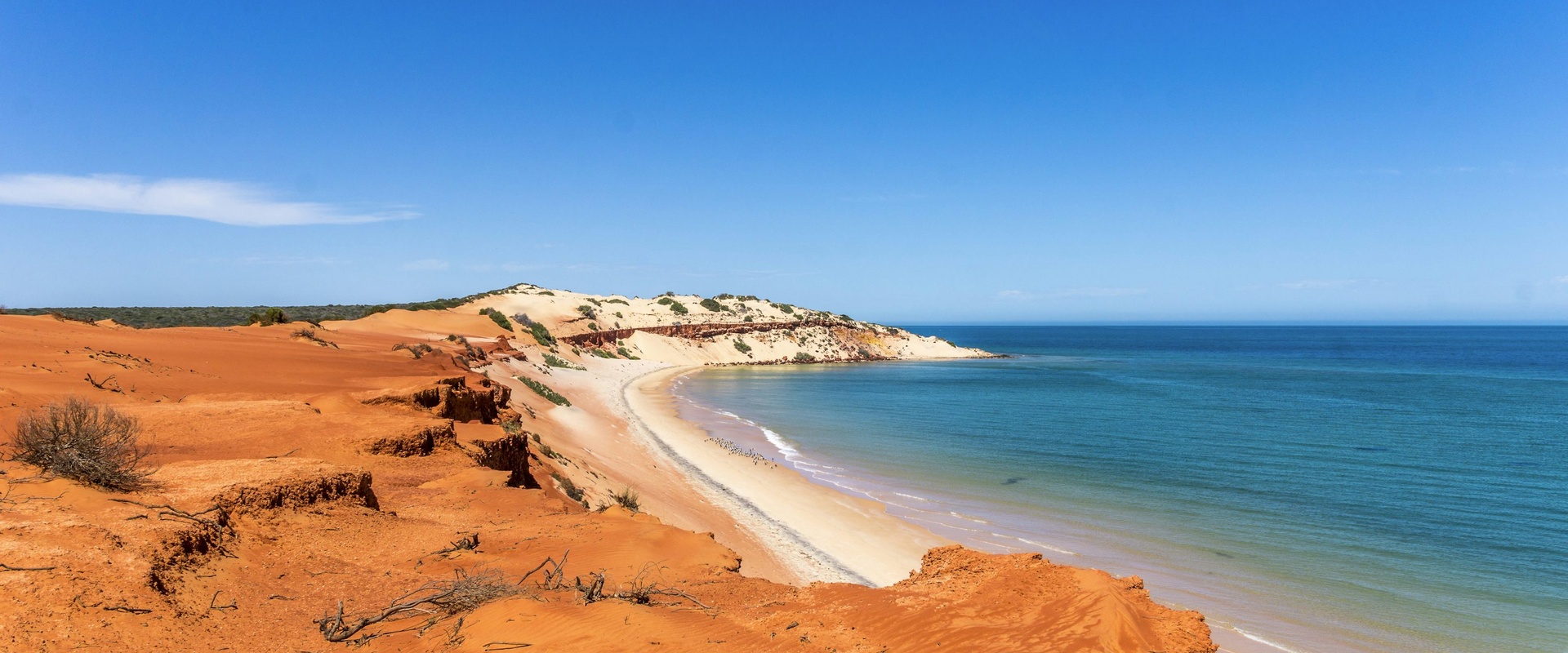 Welcome to Shire of Demo