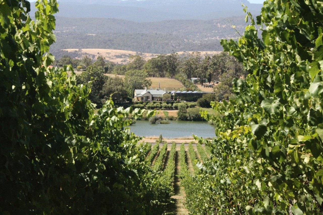 Tamar Valley Wine Trail