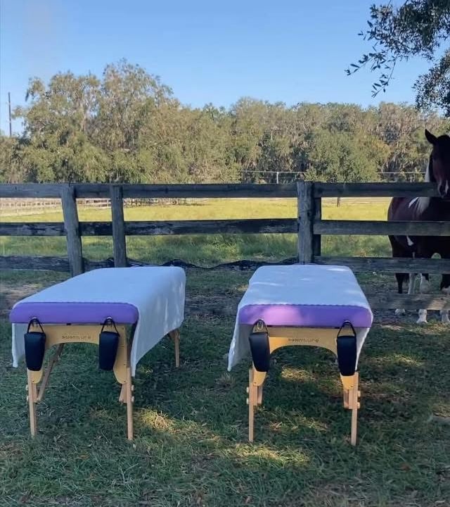 Mobile Spinal Flow session setup outdoors in Marion County with horse grazing nearby